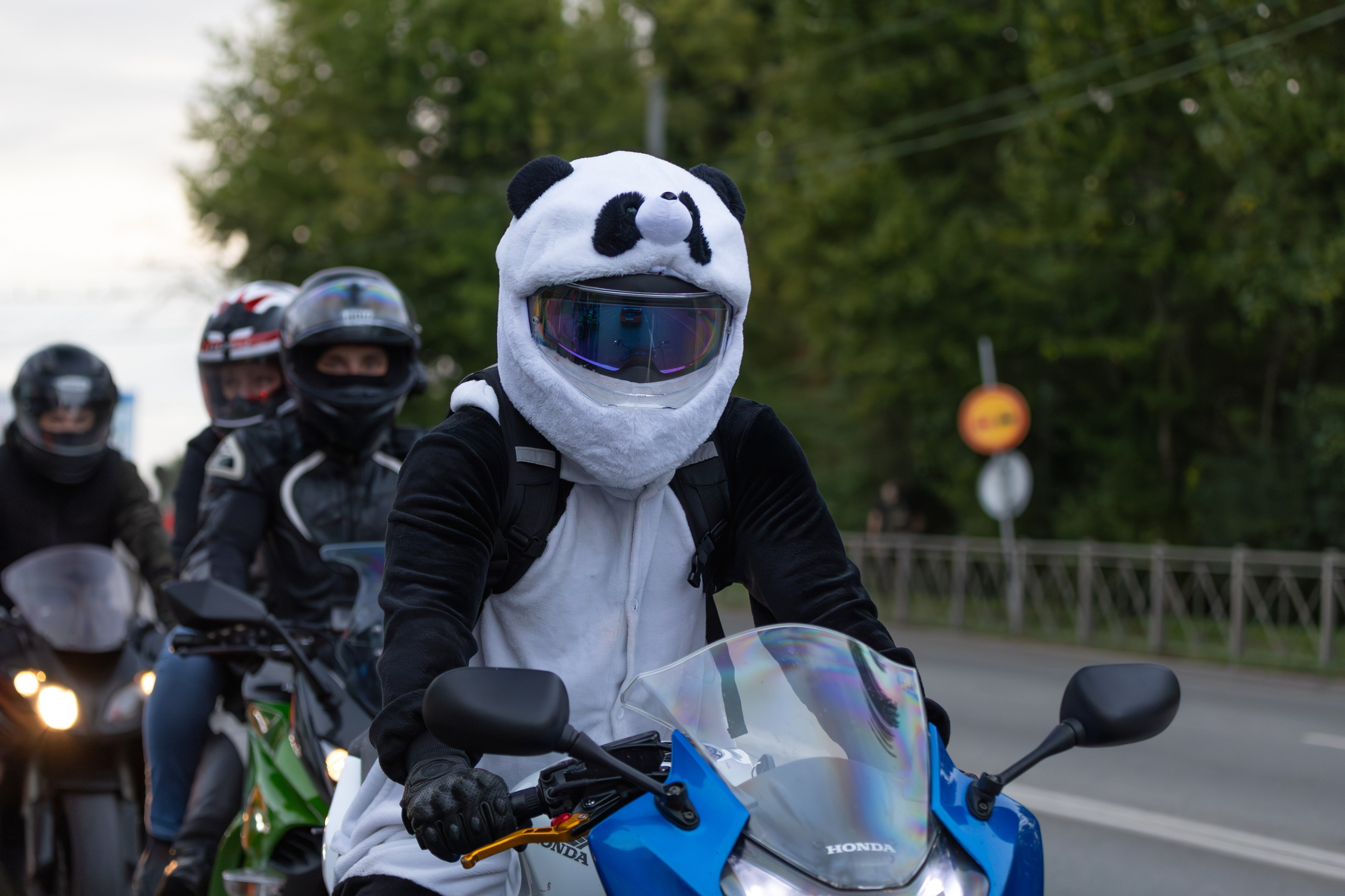 Закрытие Летнего сезона — 2025. — Digital Noise —