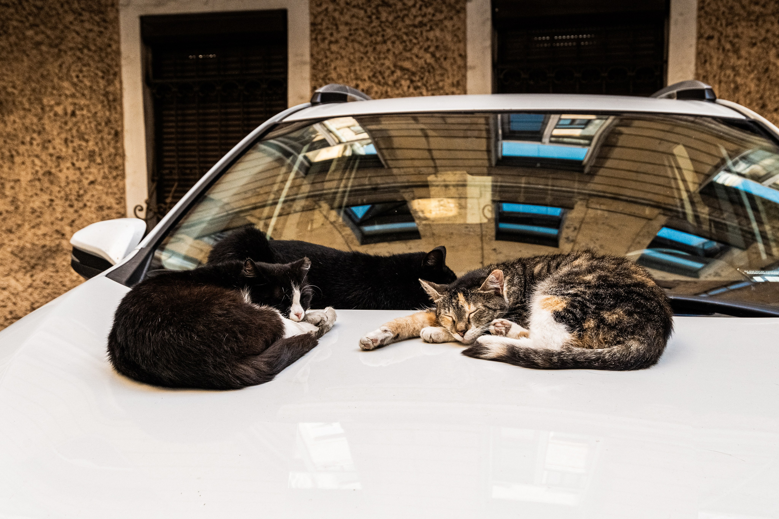 Рубинштейна, 27