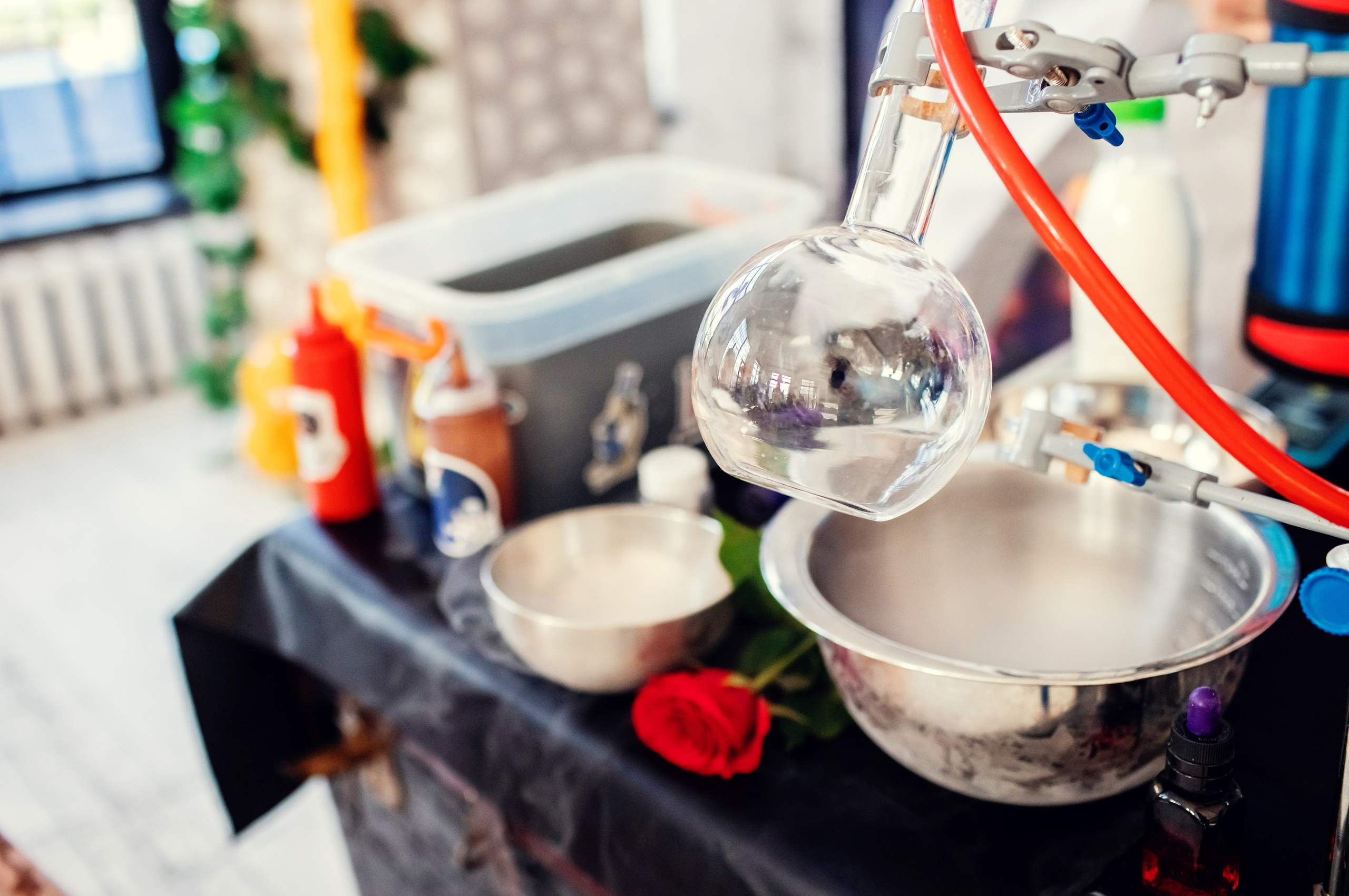 Лизе 5 лет. Детский и семейный фотограф в Москве Анна Ипатьева