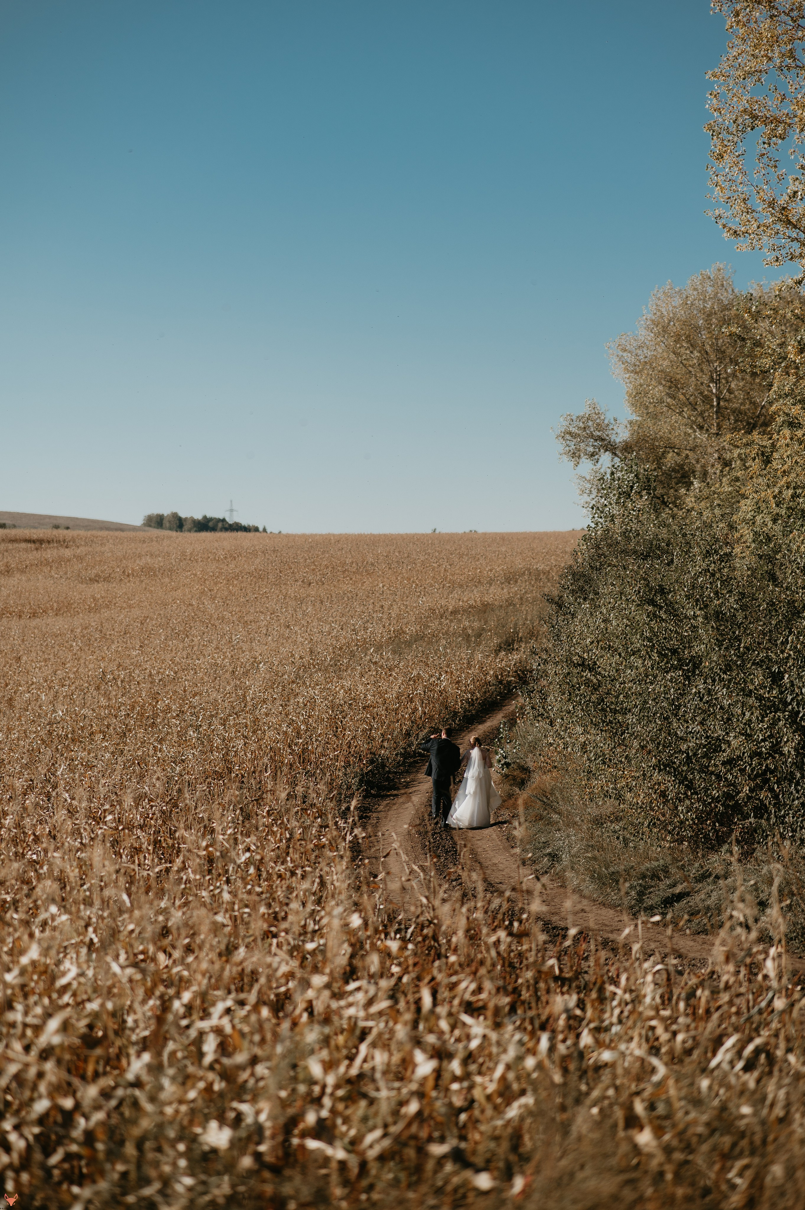 Wedding 20 09 24. Свадебный Фотограф Абакан