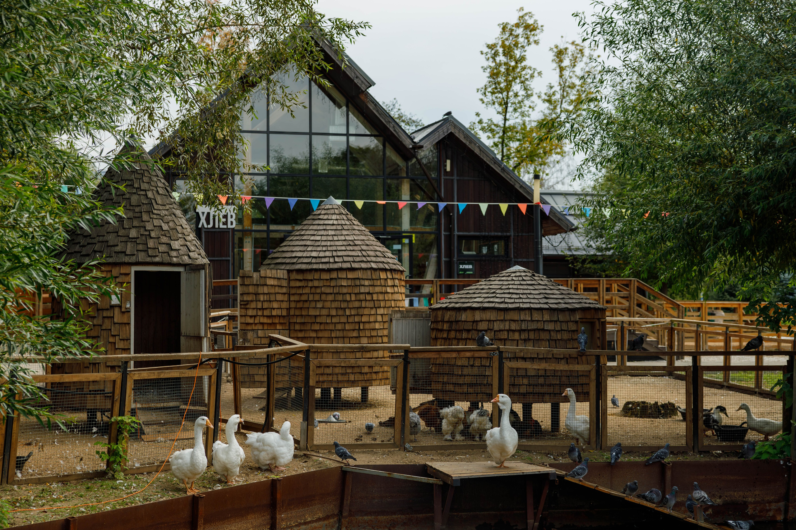 Экскурсия на ферму (ВДНХ). Фотограф Булдакова Екатерина