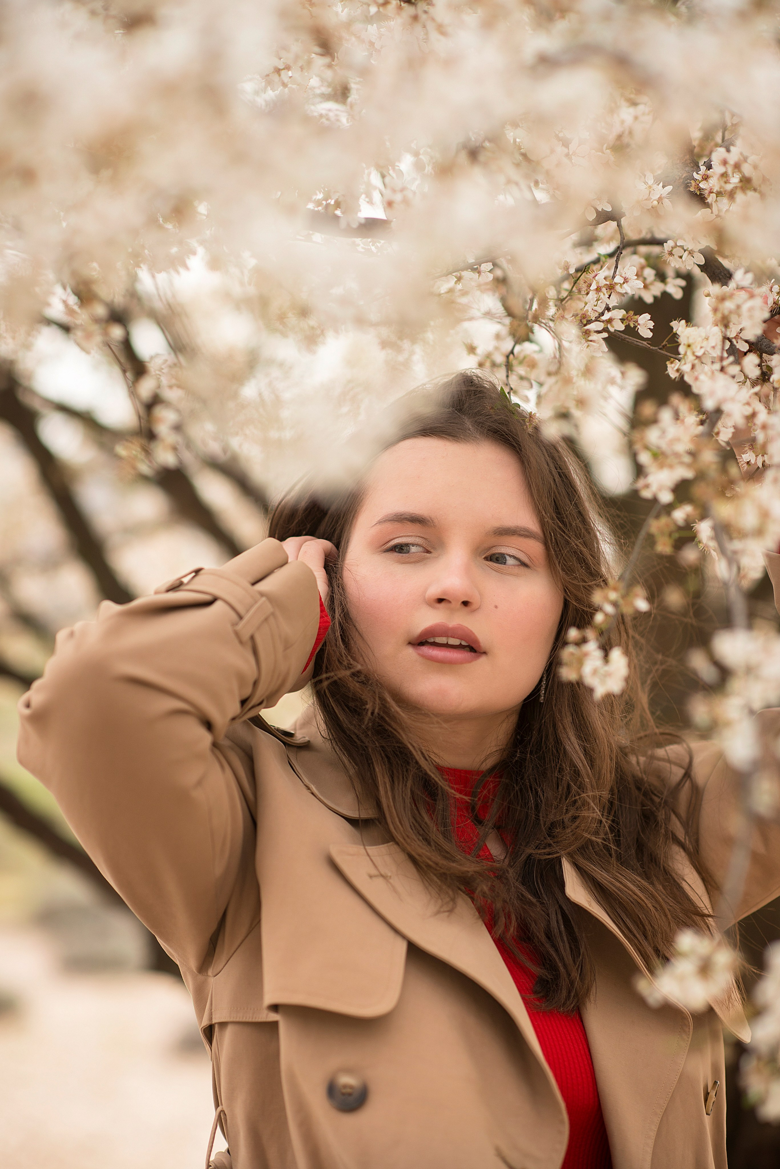 В цветущем миндале. Семейный и детский фотограф в Севастополе. Семейный фотограф в Ялте
