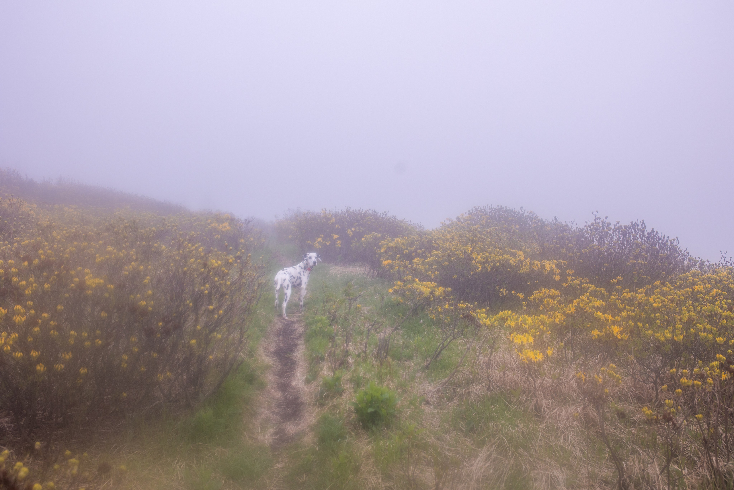 Грачев Венец. Тревел-фотограф Олег Гуров