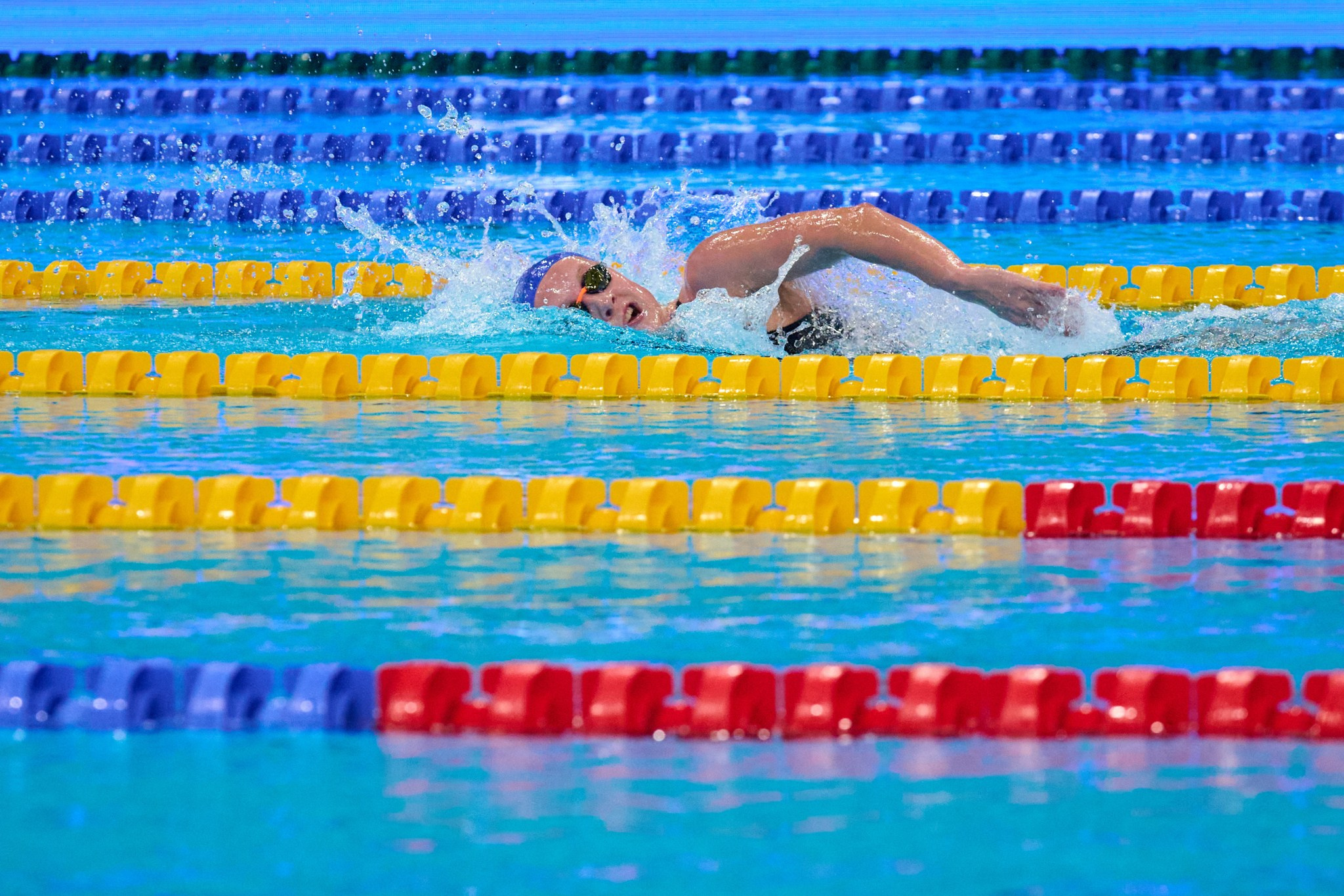 Кубок России по плаванию 2024 г. Екатеринбург. Мезенцев Евгений фотограф