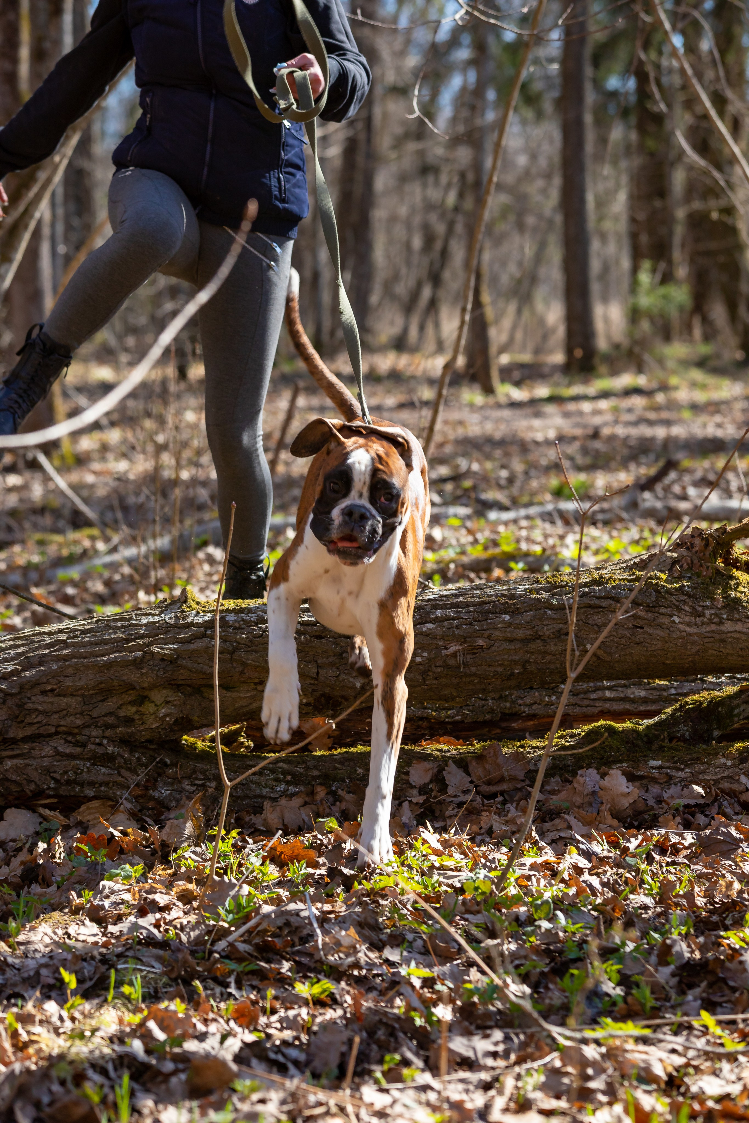 Рокки. Ася Пчелинцева, фотограф в СПб и ЛО