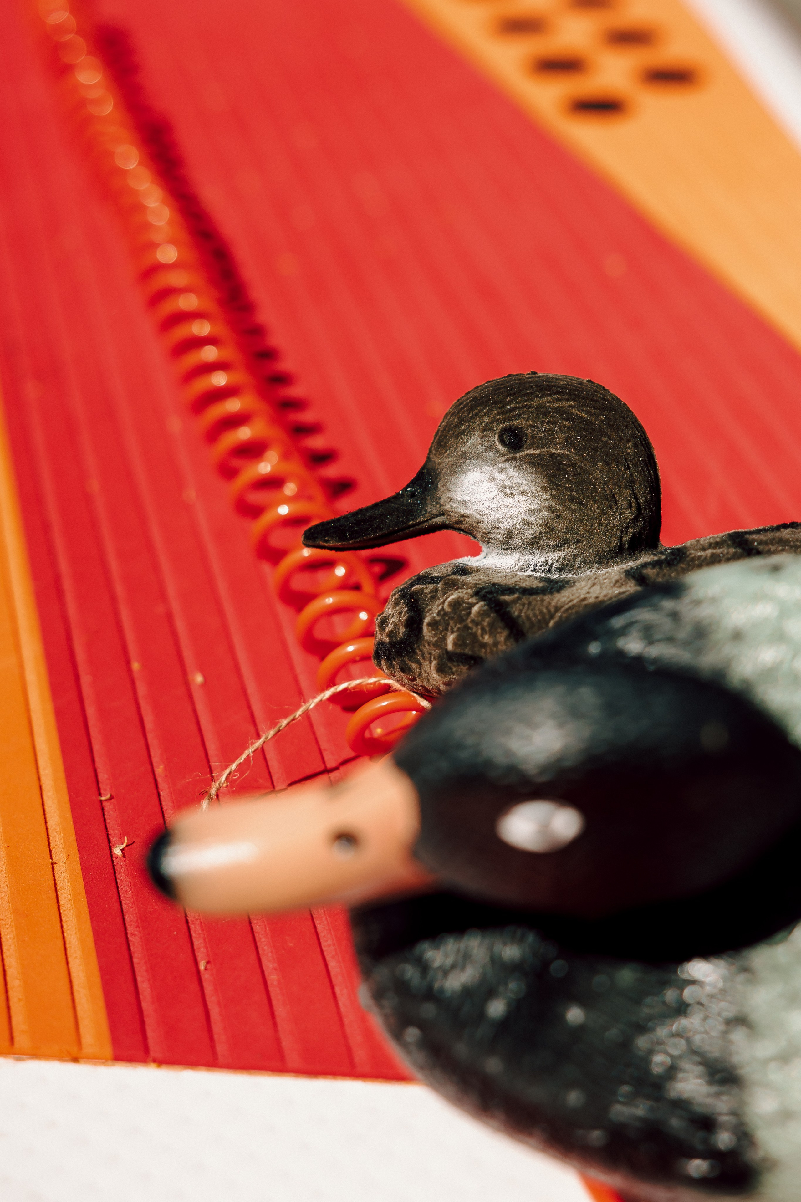 E1 Sup Fest 2024. Лёшка Варзегов — фотограф