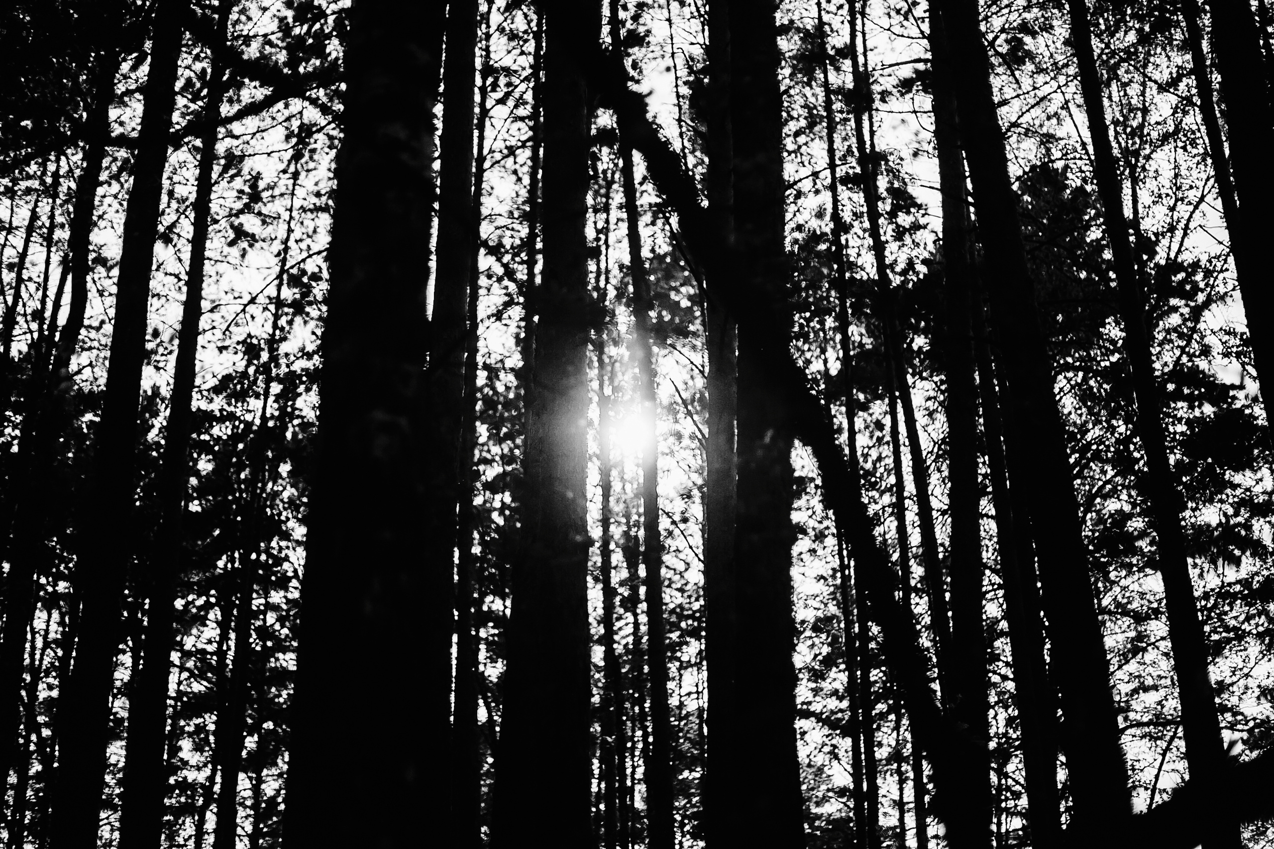 Арина. Фотограф Полина Егорова город Тюмень