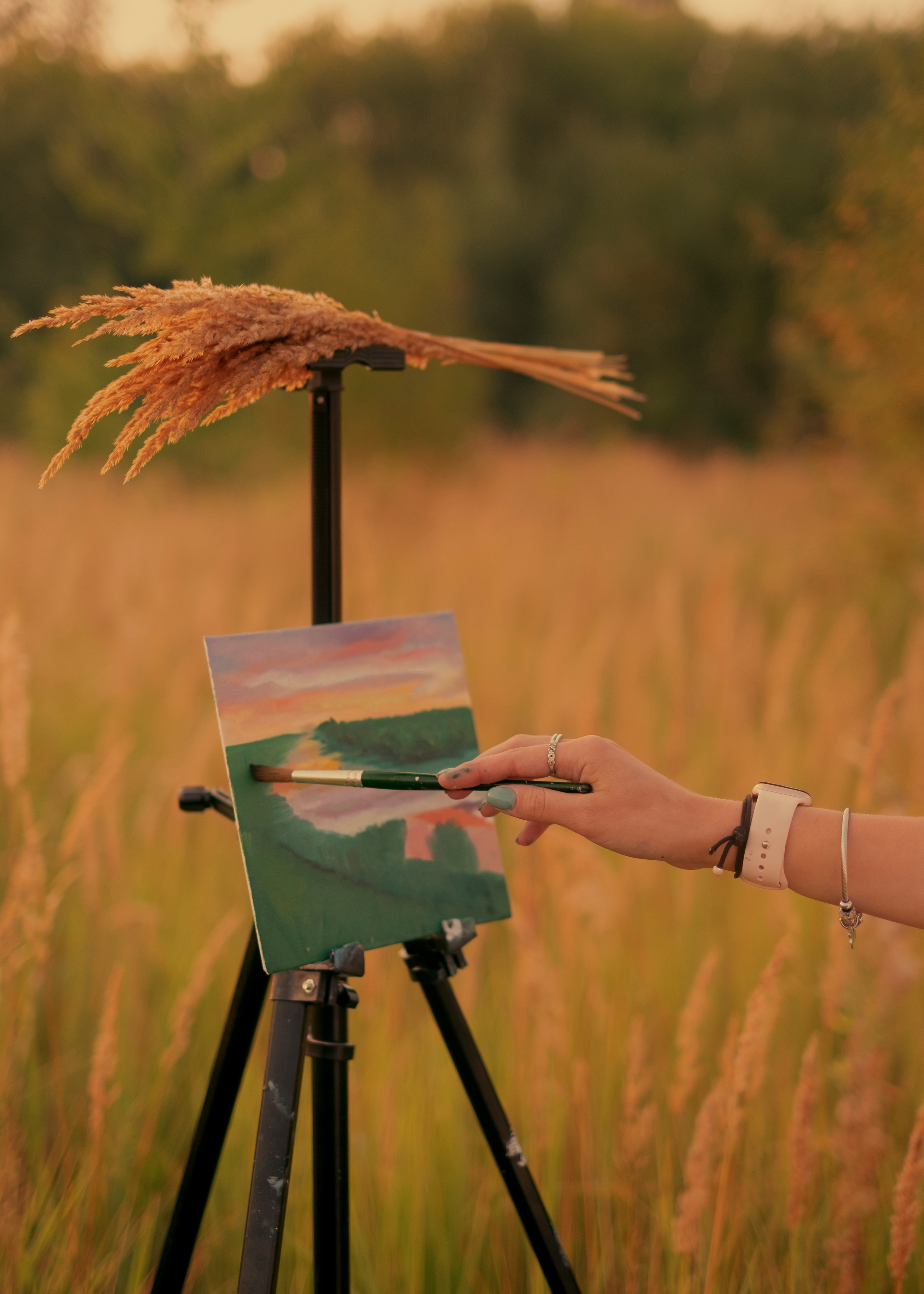 Загадочный мир цвета. Фотограф (Москва, Мытищи)— Комова Анастасия