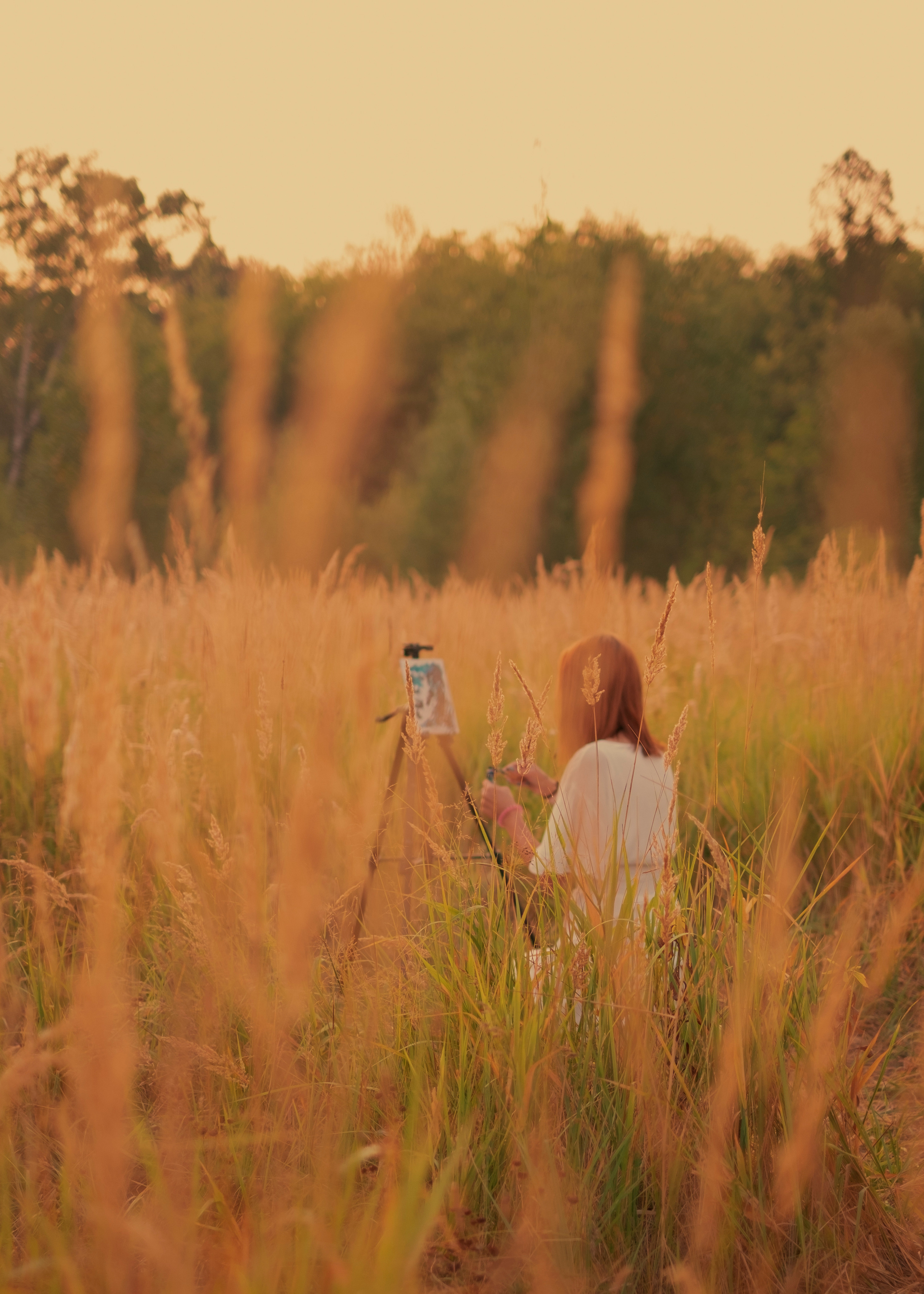 Загадочный мир цвета. Фотограф (Москва, Мытищи)— Комова Анастасия