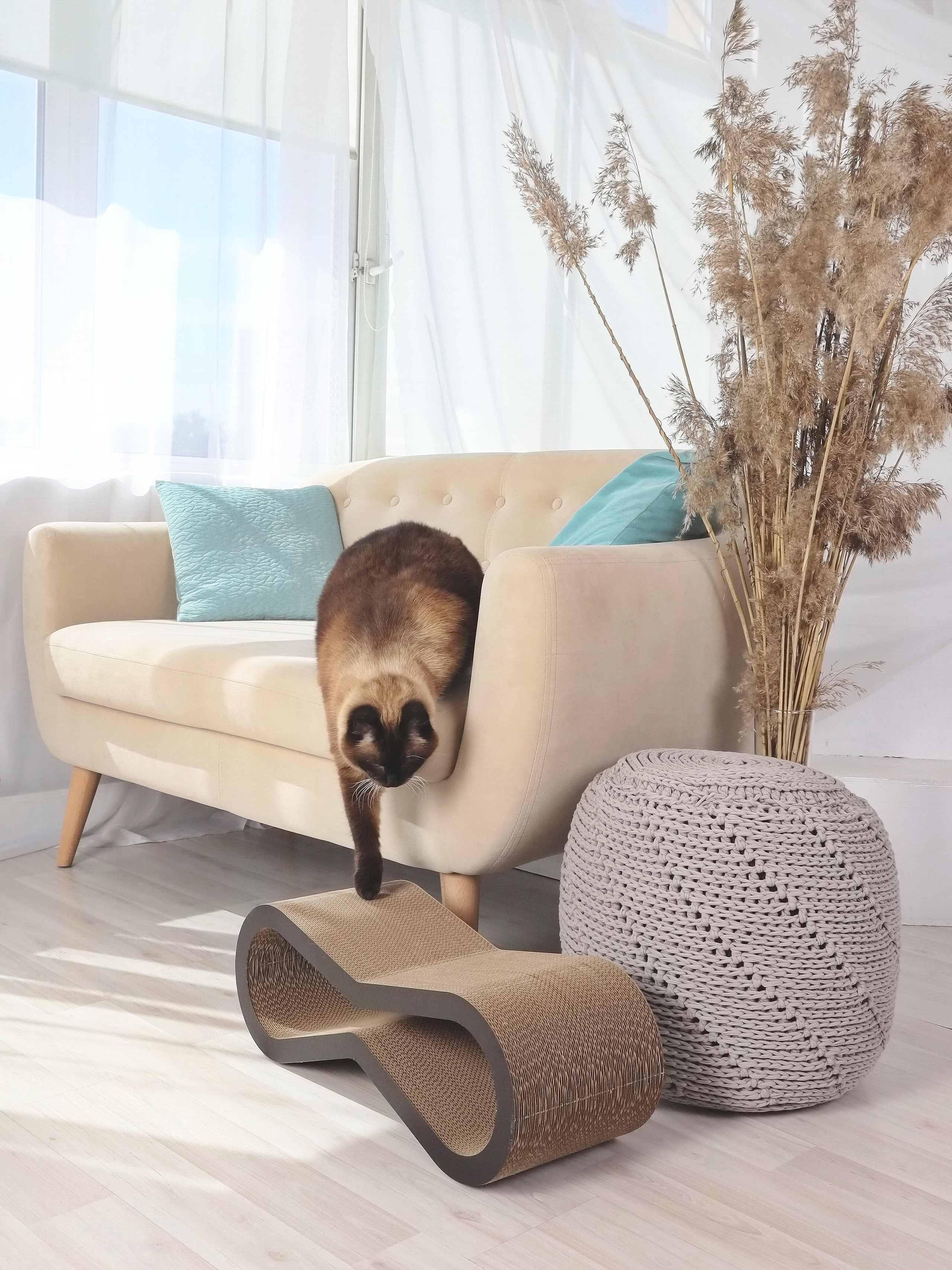 Съёмка в студии. Рекламный и предметный фотограф в Санкт-Петербурге Мария Ерикина