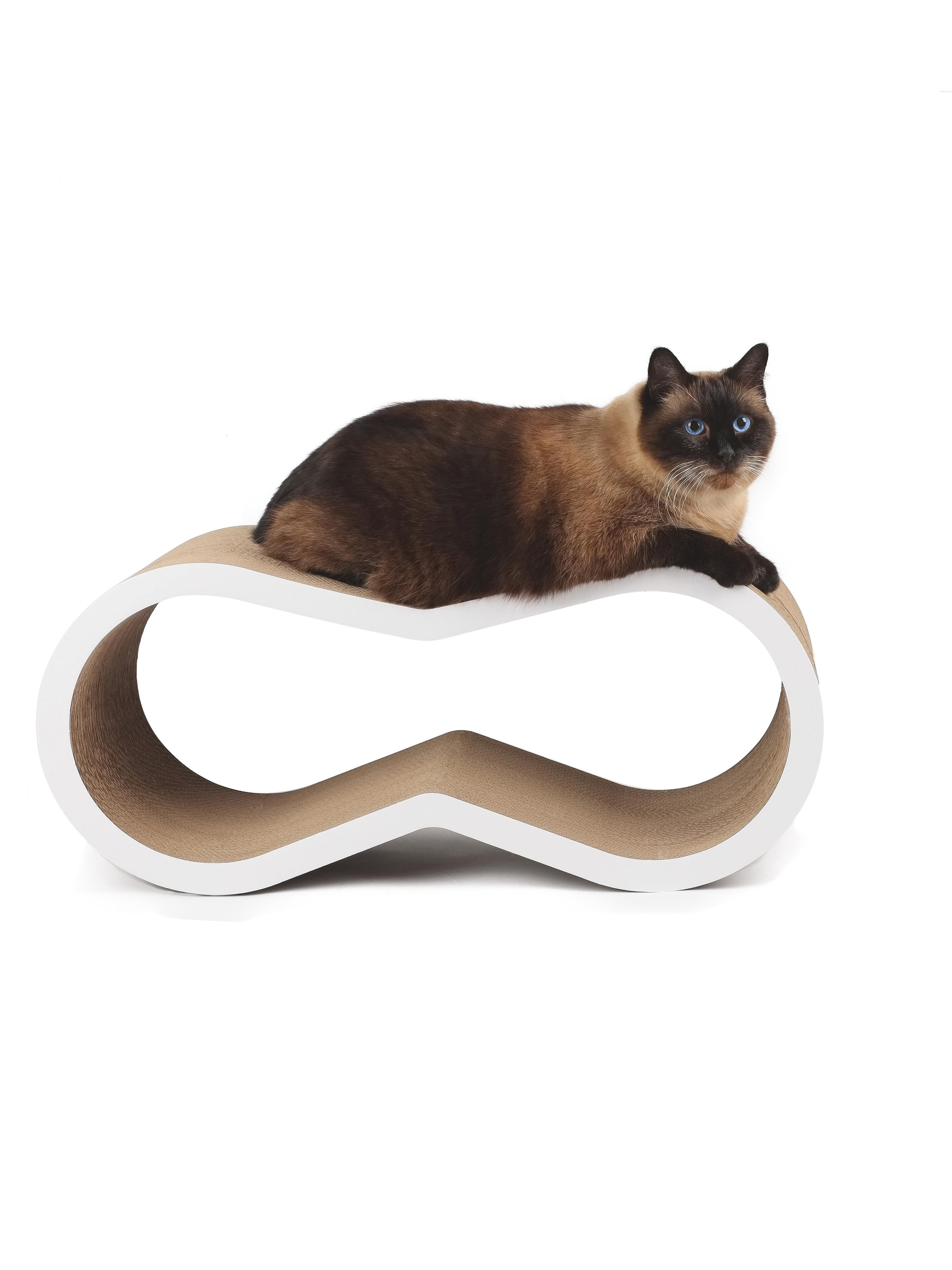 Съёмка в студии. Рекламный и предметный фотограф в Санкт-Петербурге Мария Ерикина