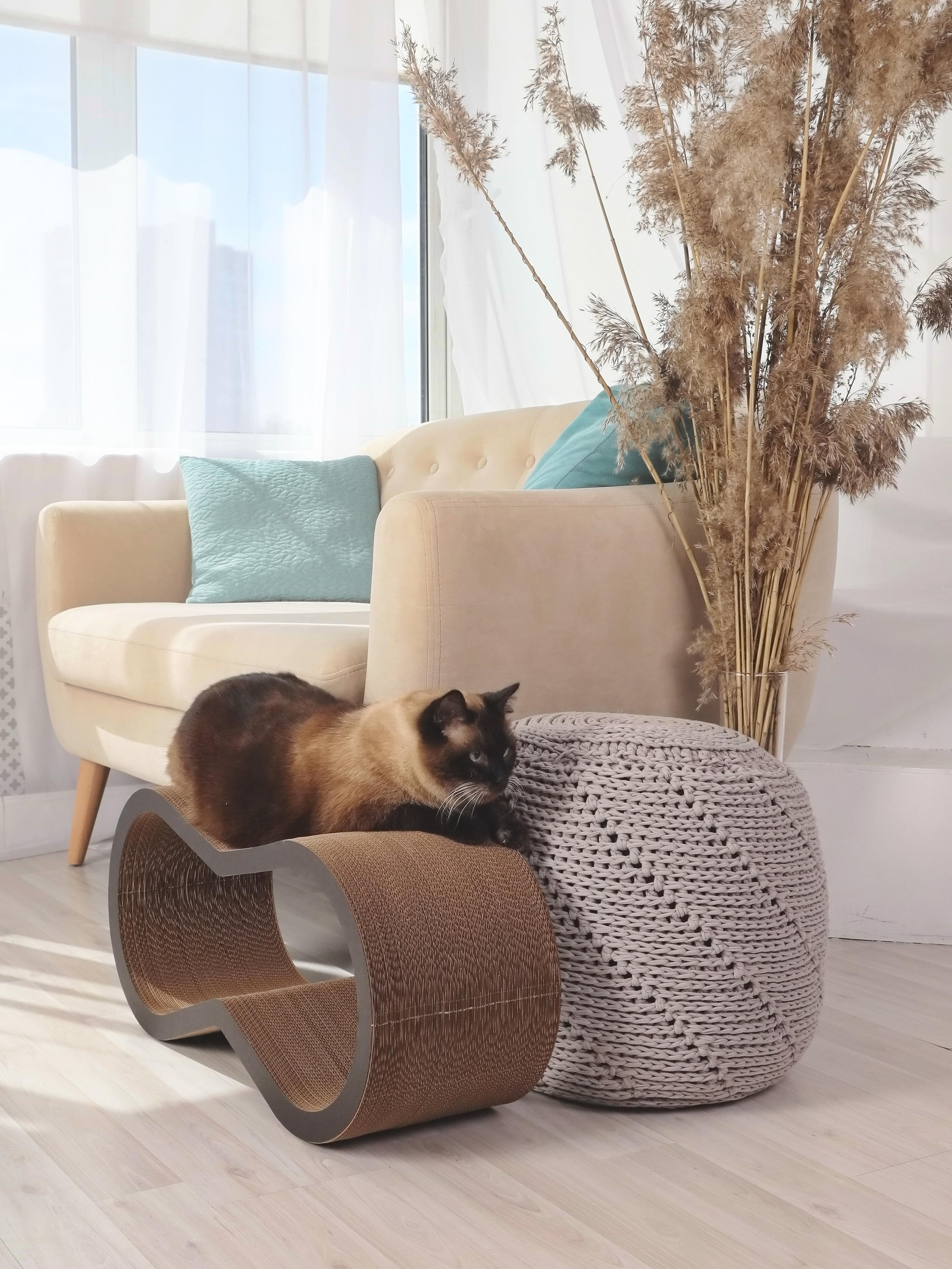 Съёмка в студии. Рекламный и предметный фотограф в Санкт-Петербурге Мария Ерикина