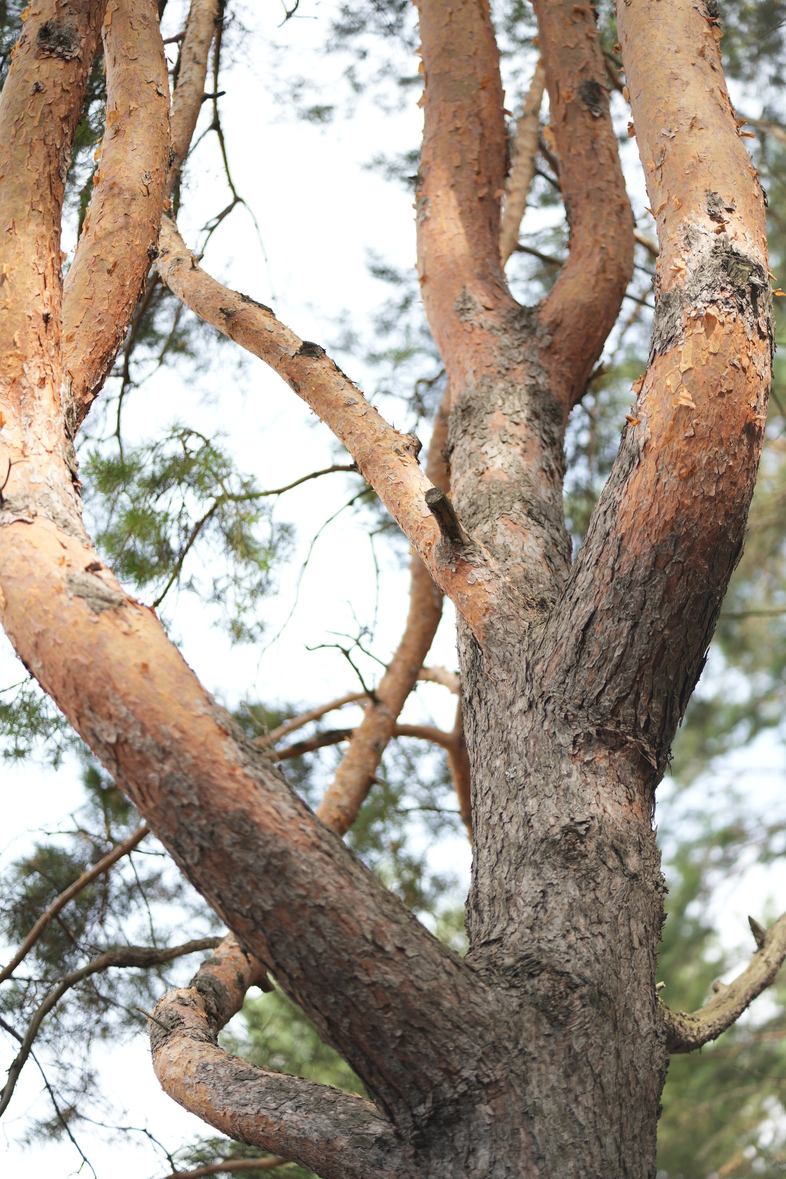 Час 2500 р. пример фото-пакета «ФОТО НА ПАМЯТЬ» (без обработки). Фотограф Нижний Новгород Татьяна Кэйод