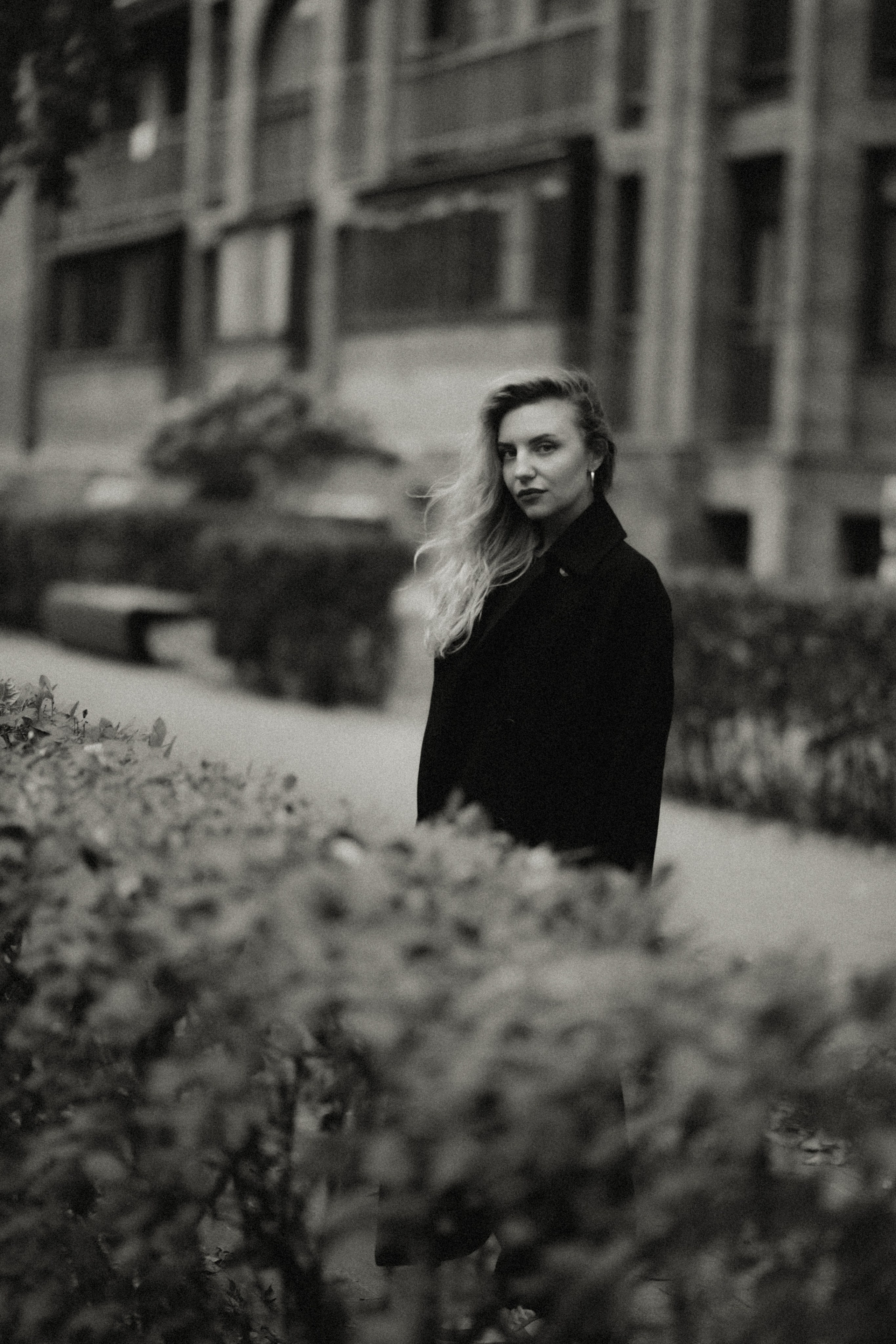 Осенний портрет, Октябрьское поле