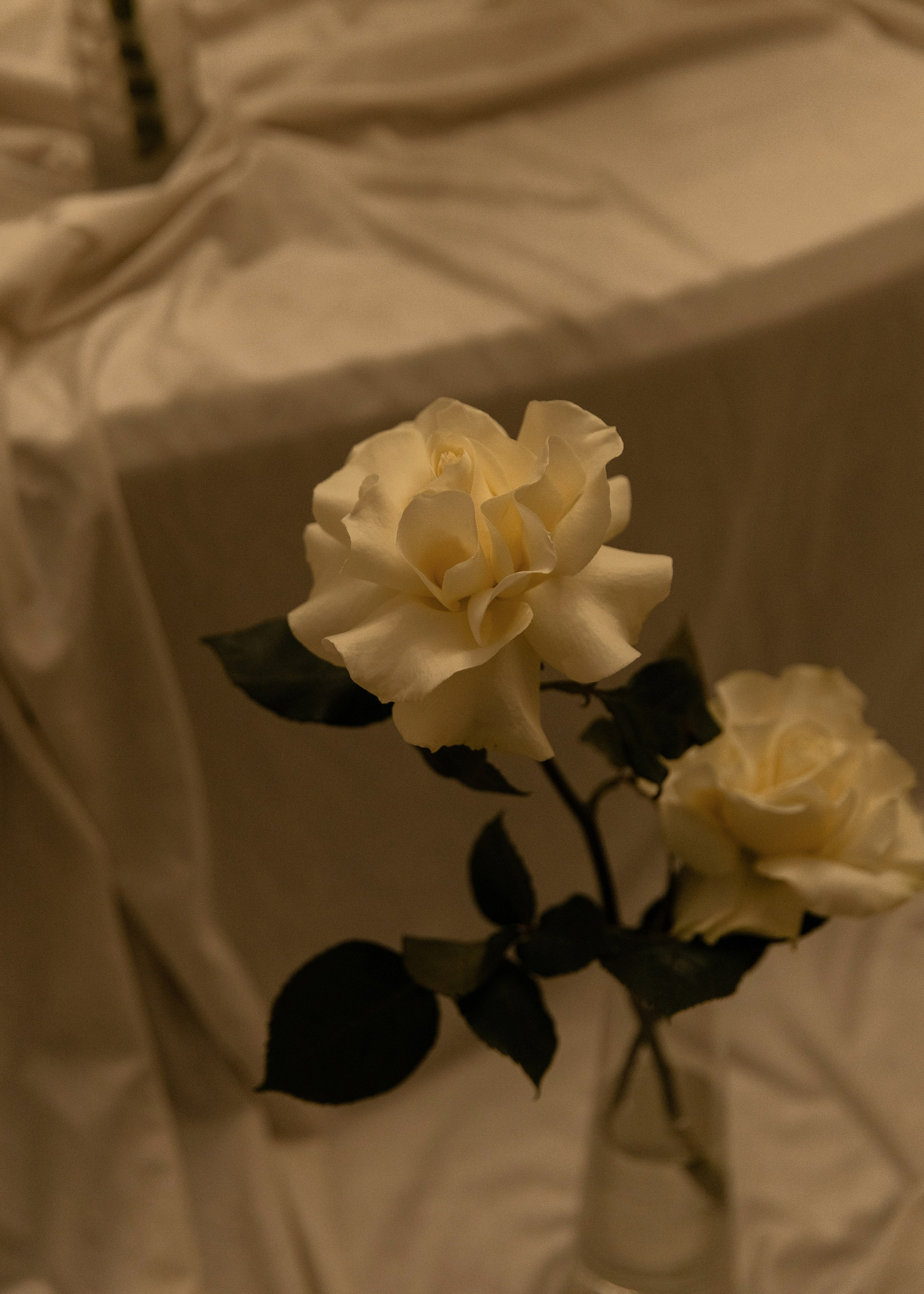 Утро невесты в гостинице «Губернаторъ». Тверь. Фотограф Вышний Волочек/Тверь/Москва/Санкт-Петербург