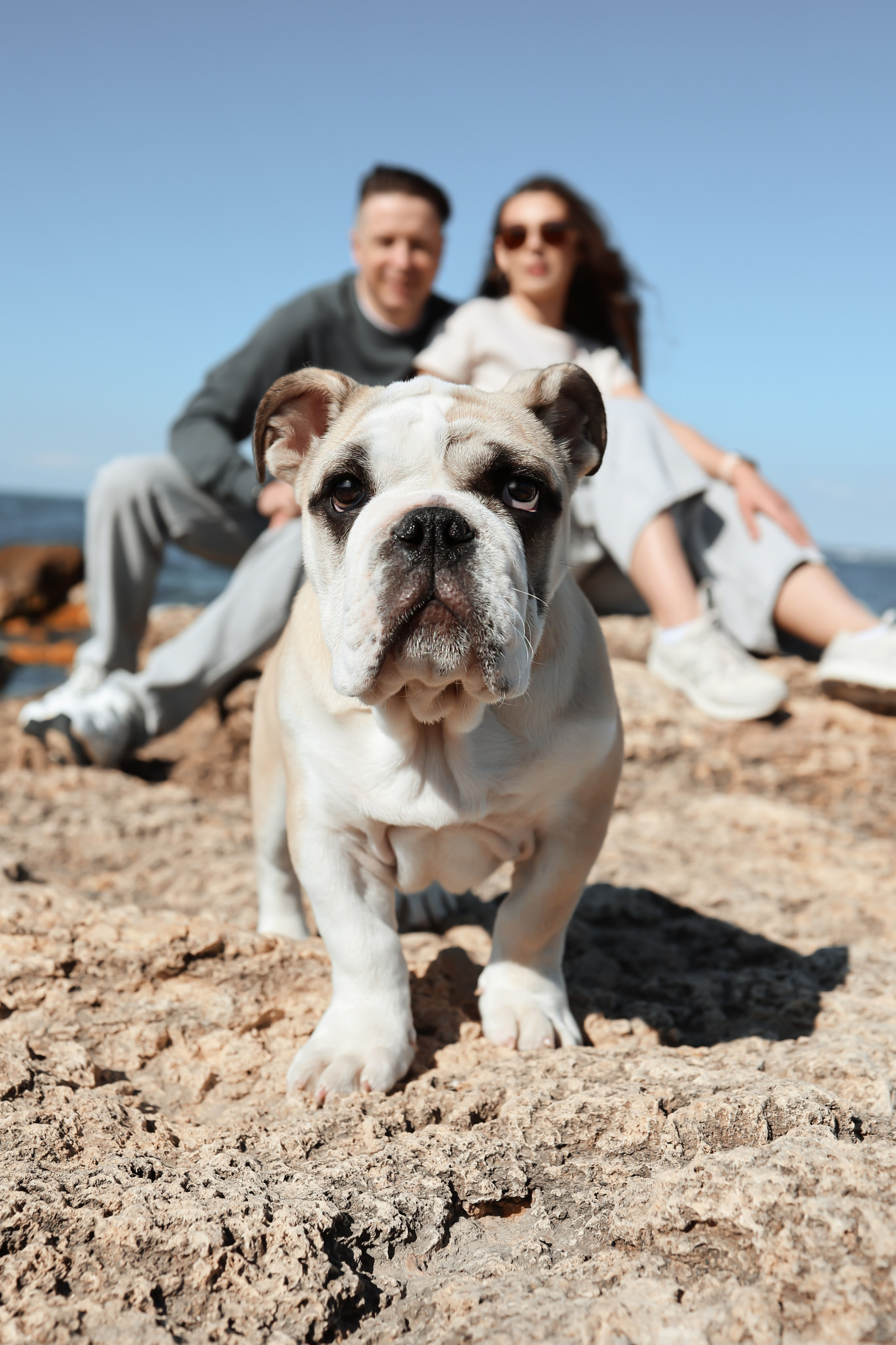 Новый член семьи. Withlovent | Фотограф в Севастополе