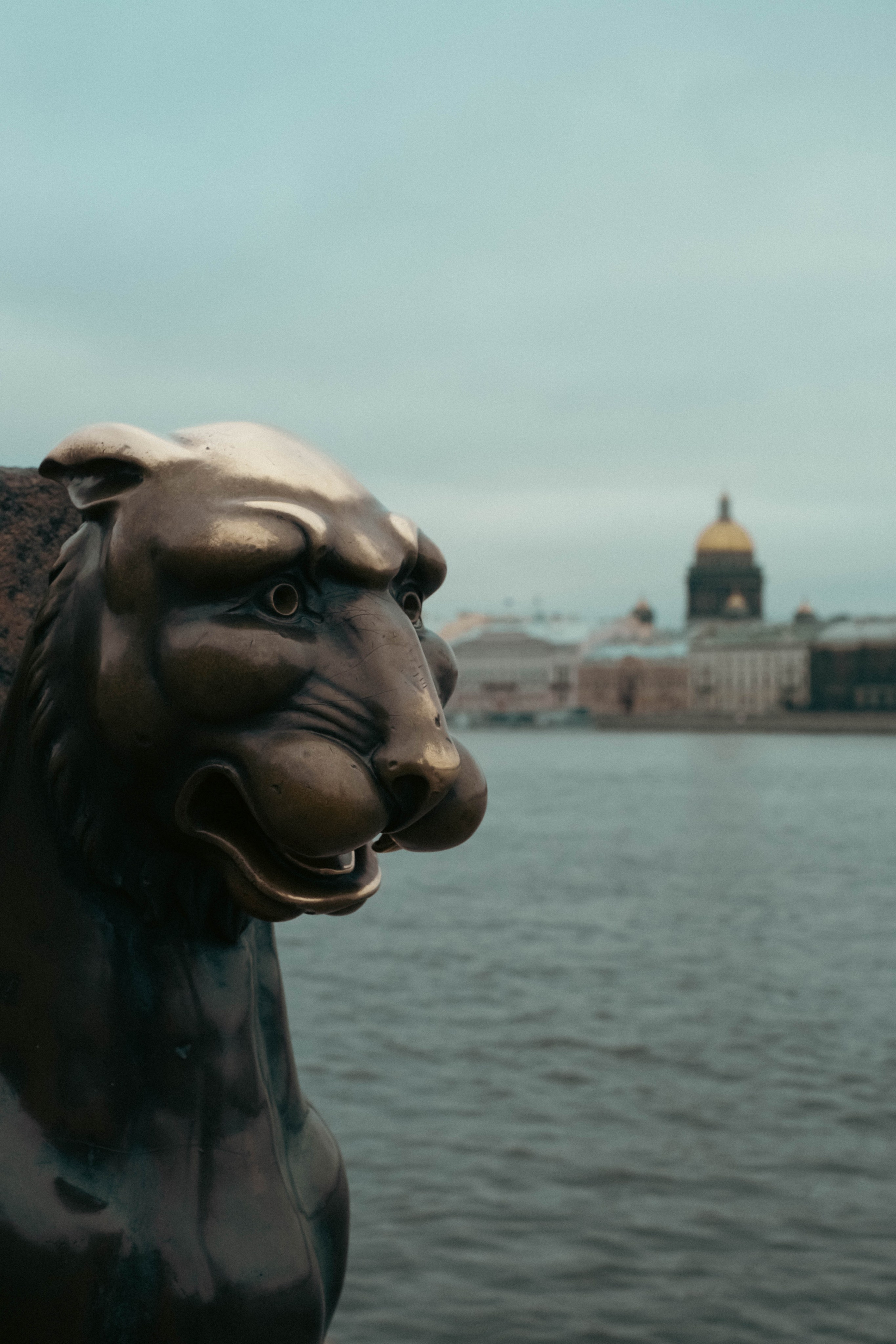 Петербургские прогулки. Фотограф в Москве Мария Лисичкина