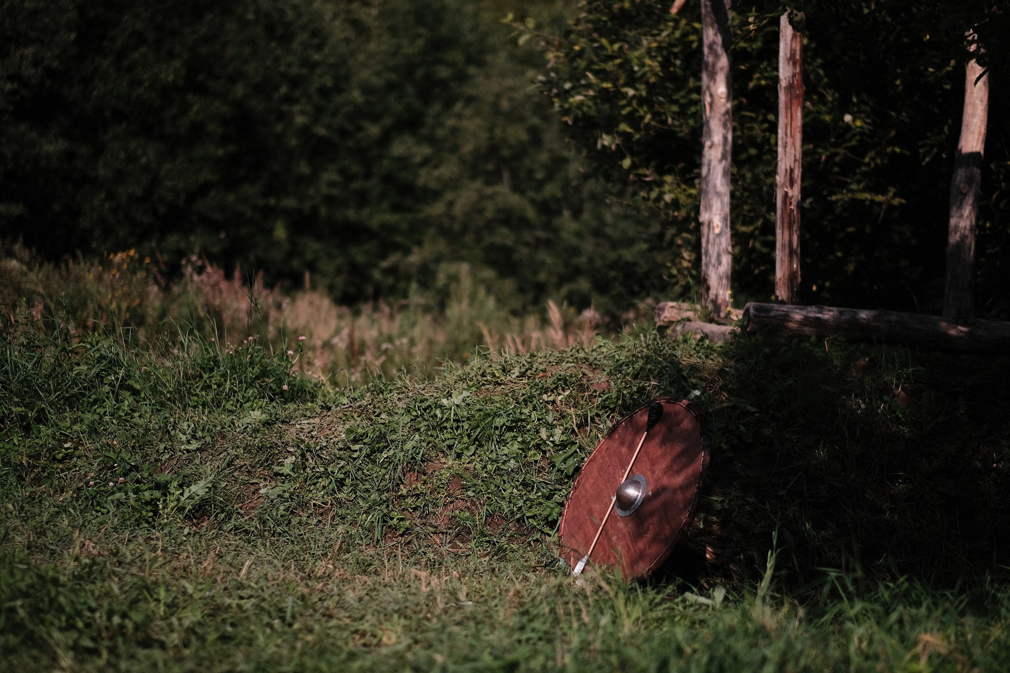 Историческая игра «Меч Святогора — упокой Волка войны». Дмитрий Бречалов