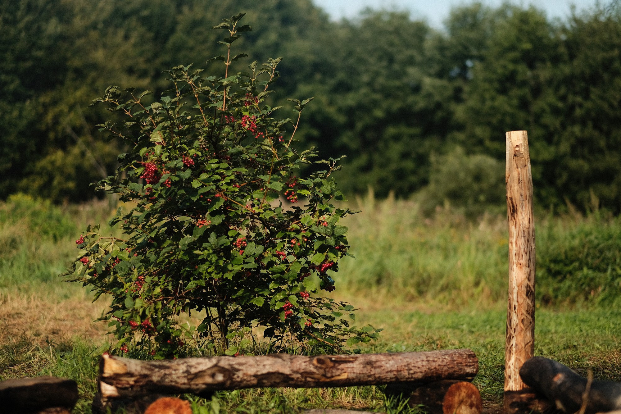 Историческая игра «Меч Святогора — упокой Волка войны». Дмитрий Бречалов