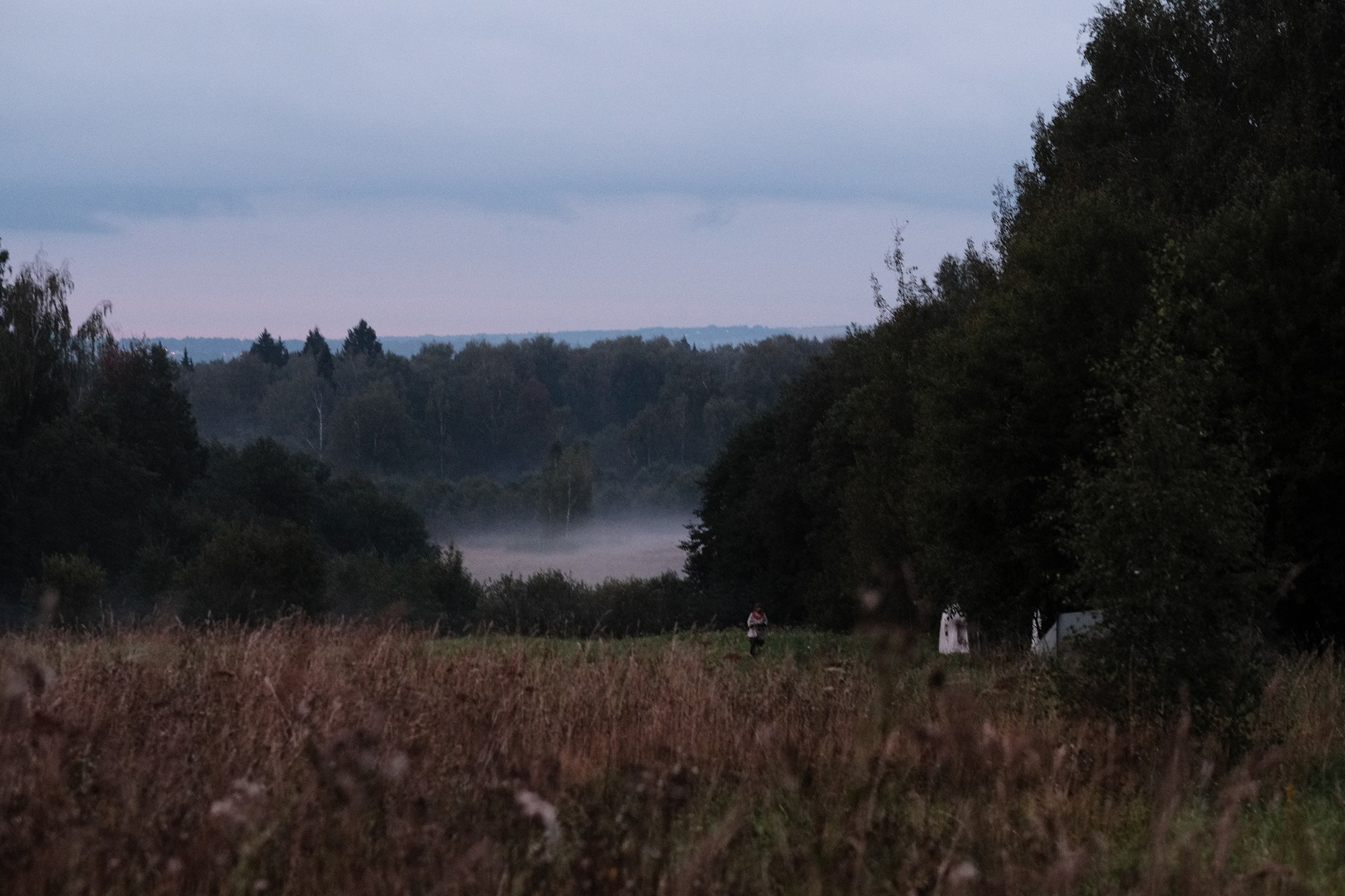 Историческая игра «Меч Святогора — упокой Волка войны». Дмитрий Бречалов