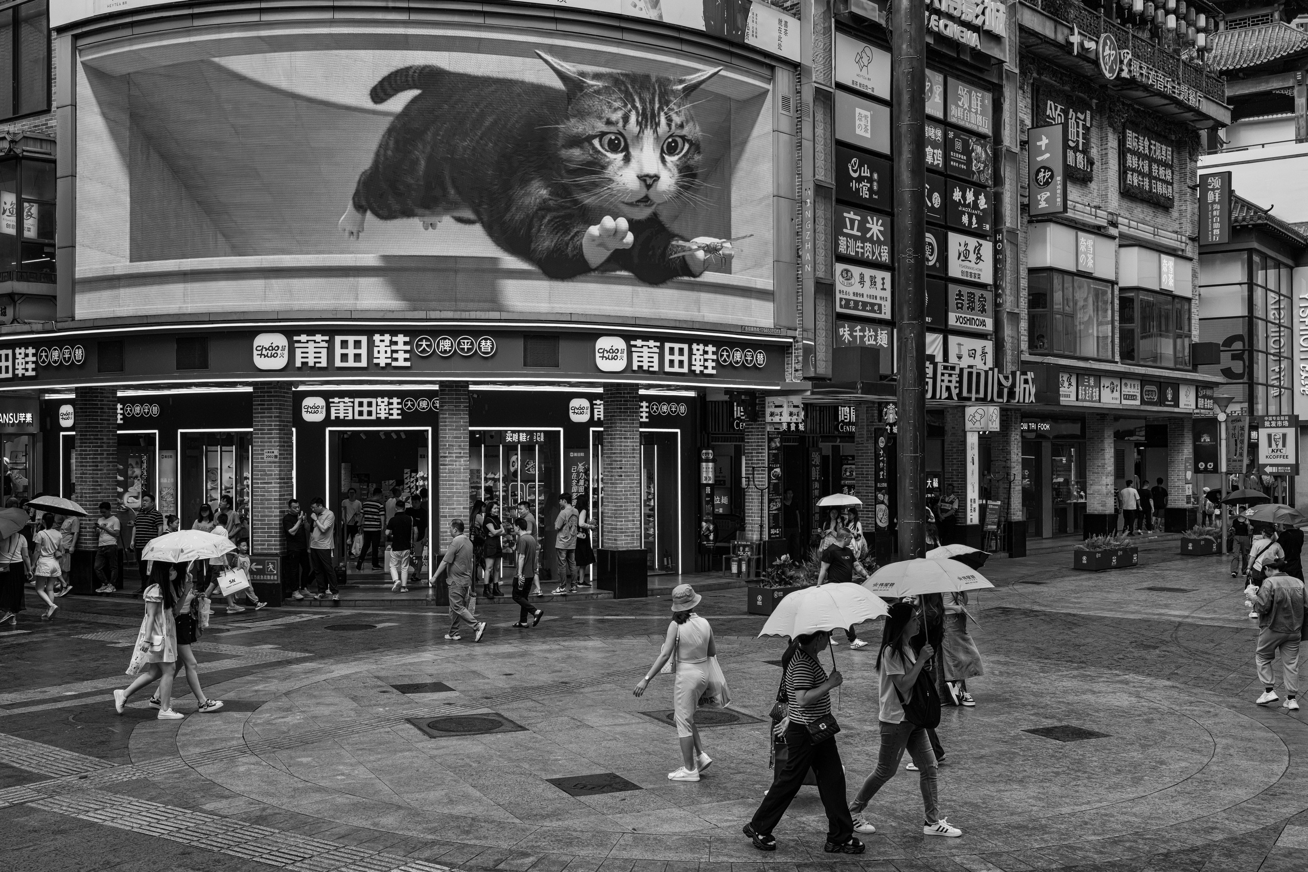 China. Three days — three cities. Beijing, Changsha, Shenzhen, 2024. Dimitri Bakhtadze photographer