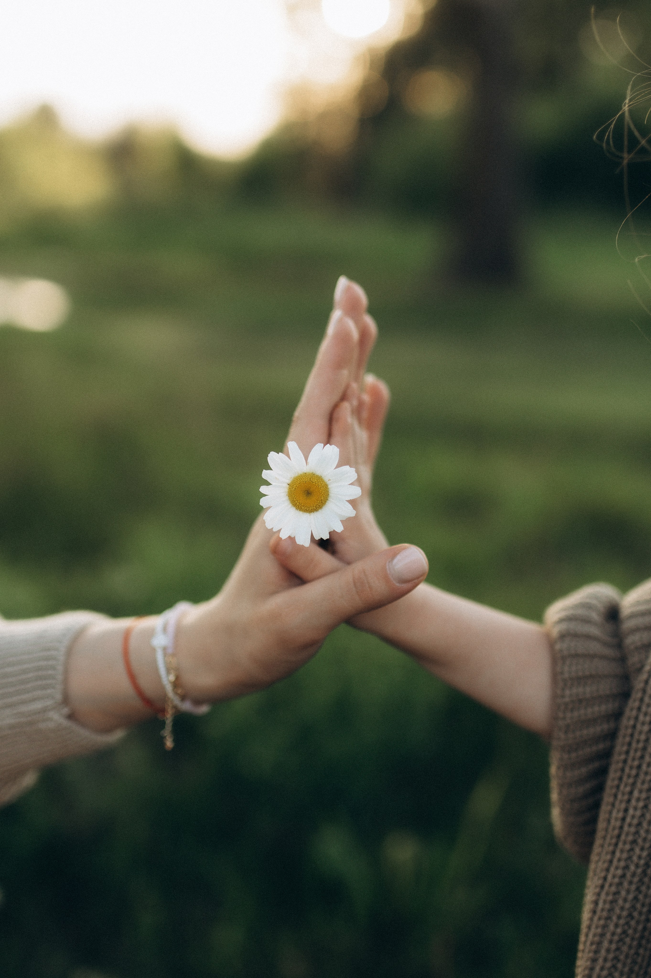 Закат. Семейный фотограф Нагорнова Виктория