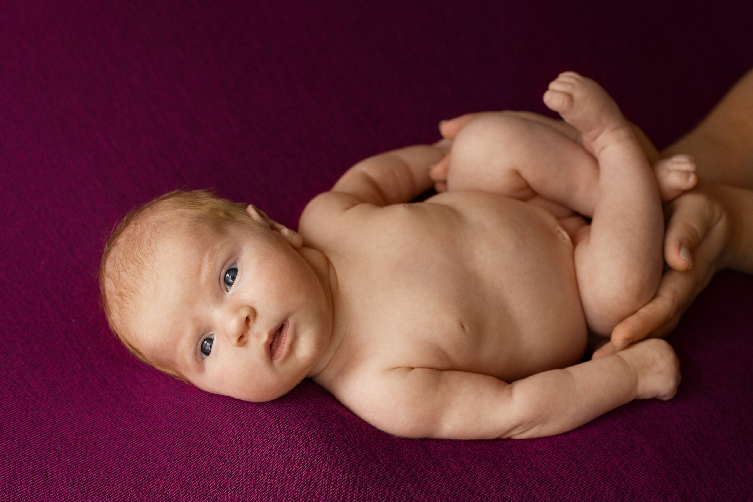 Съемка новорожденных Старый Оскол. Семейный фотограф и новорожденных в Старом Осколе Анна Старкова,