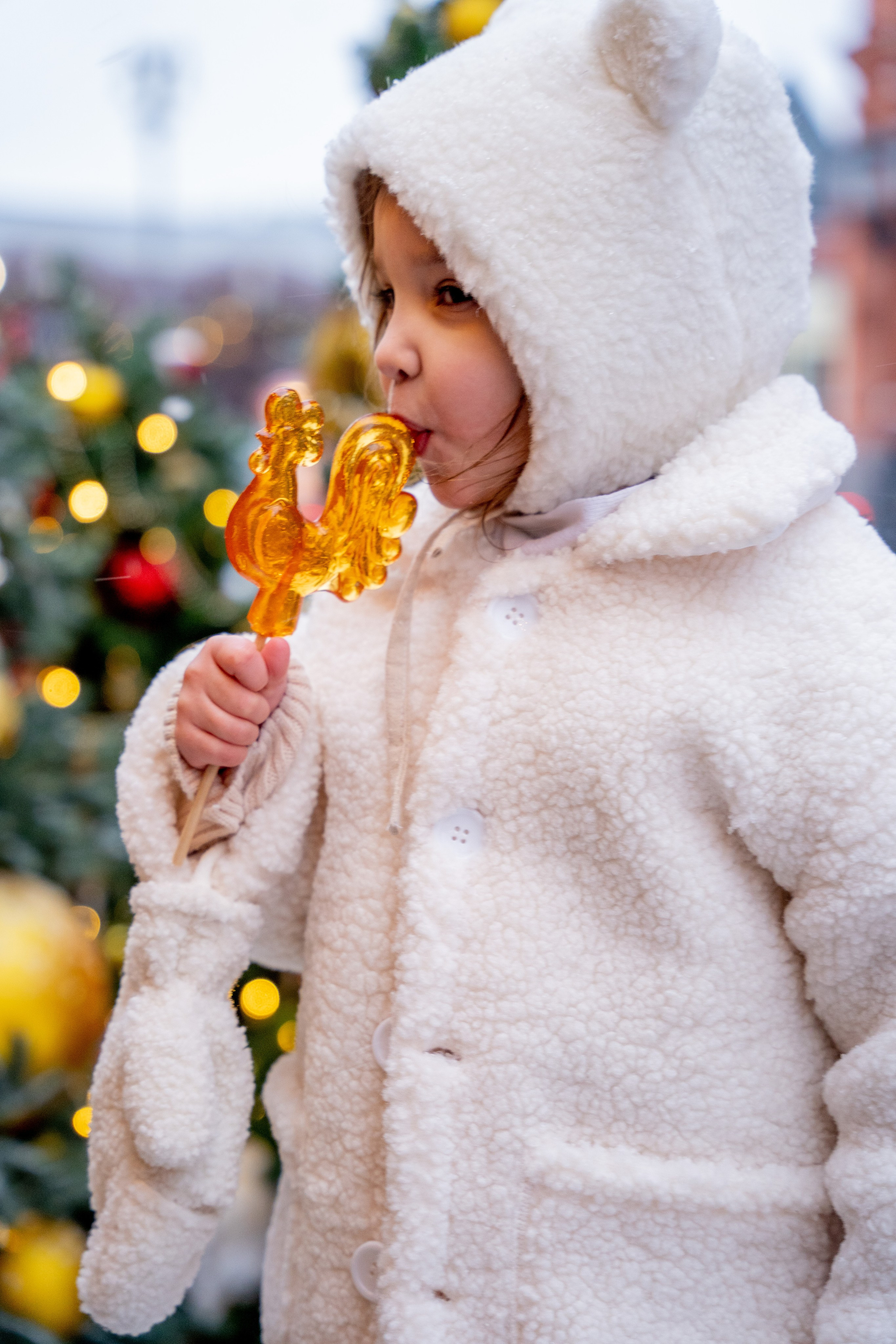 Новогодние фотопрогулки. Профессиональный фотограф Ковалева Олеся