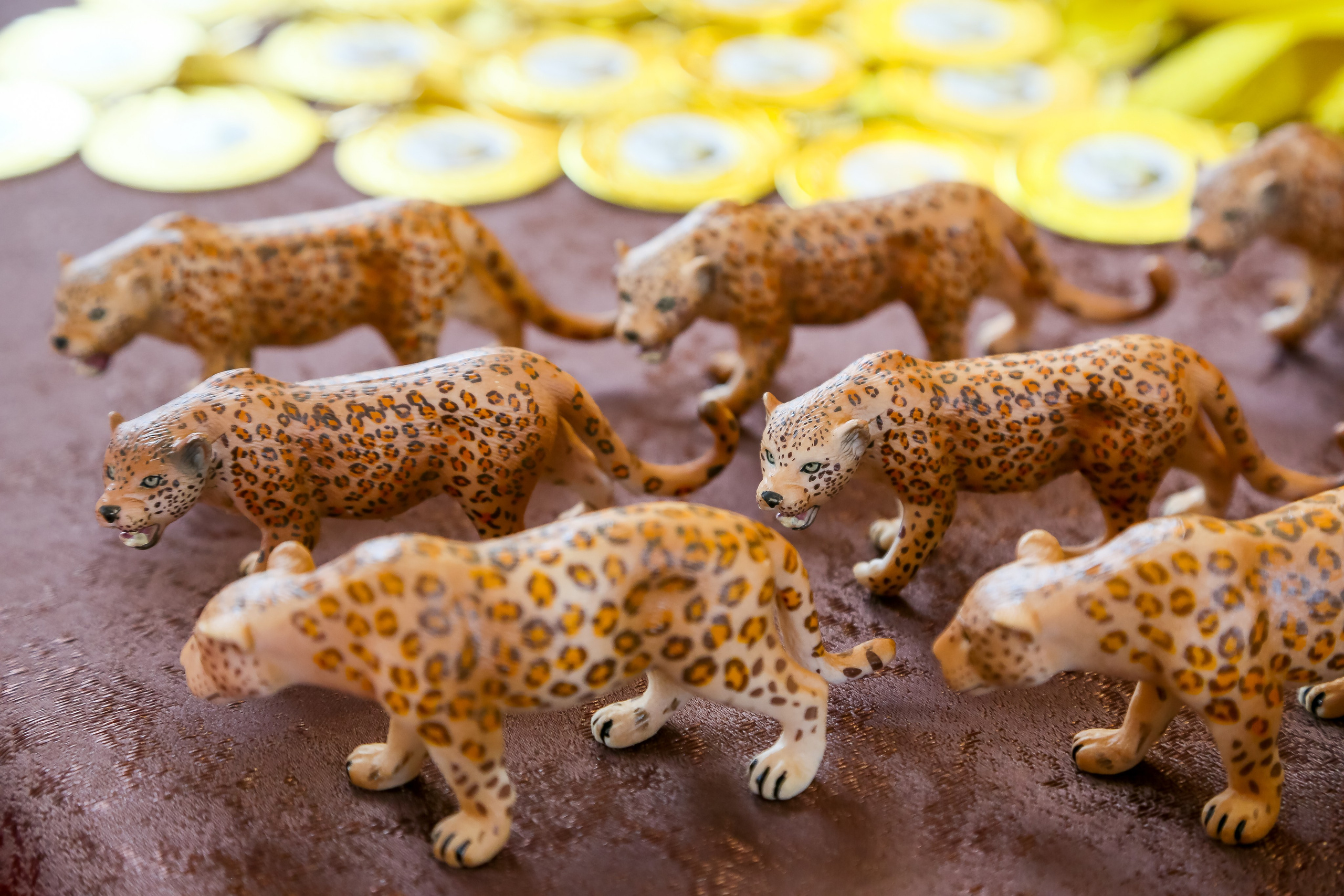 НАГРАЖДЕНИЕ ТХЭКВАНДО. Главная