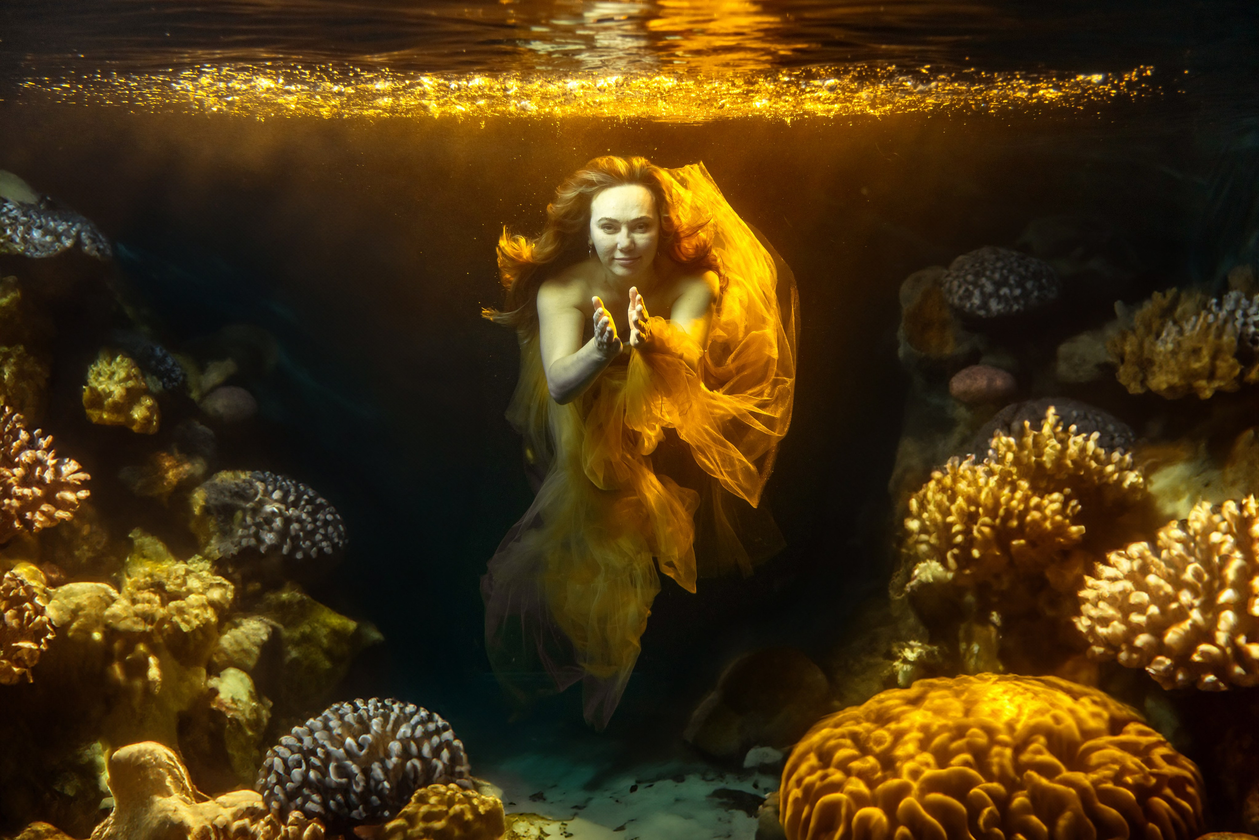 аквастудия в Краснодаре