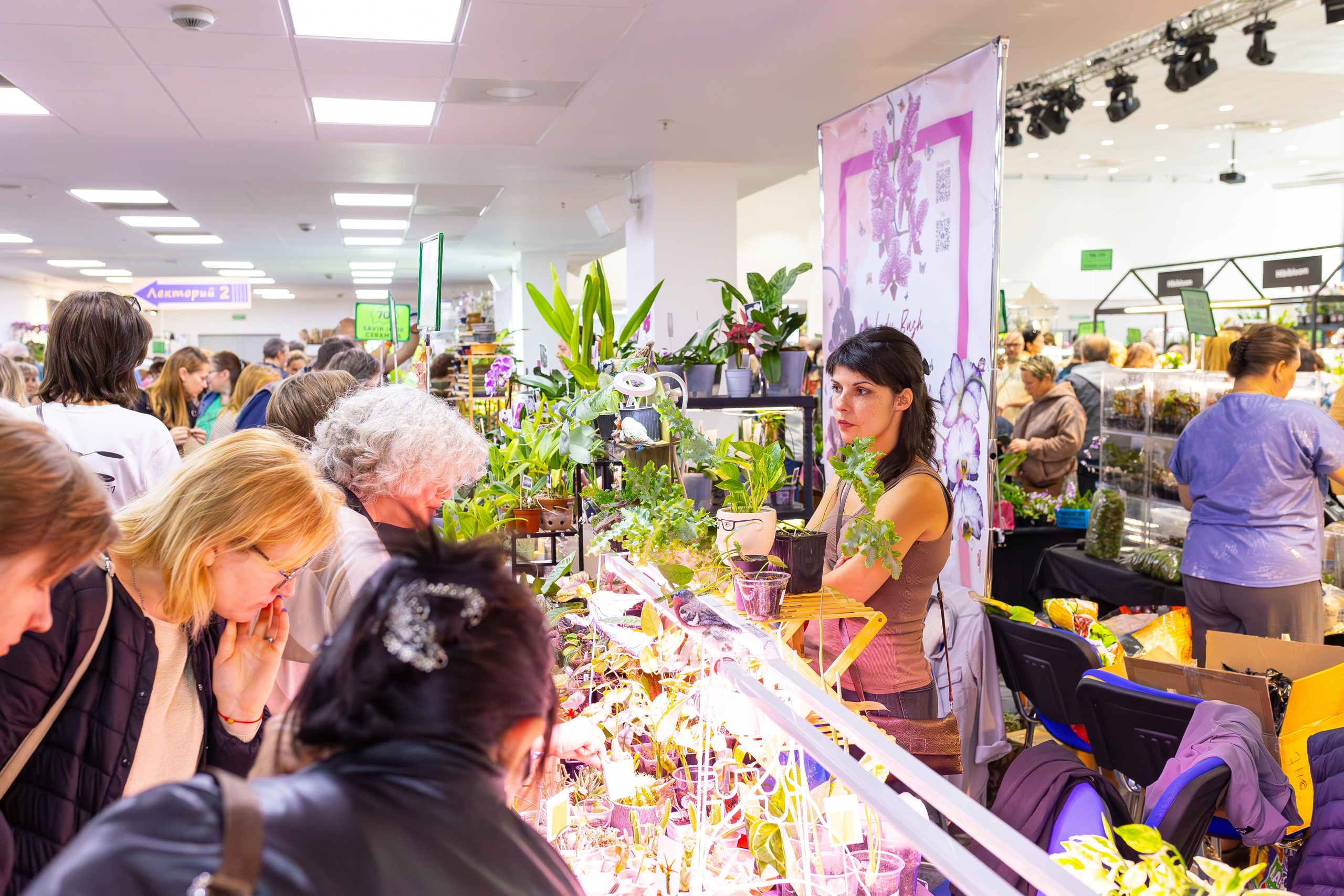 Орхидиум сентябрь 2025. Александра Куликова фотограф, Москва