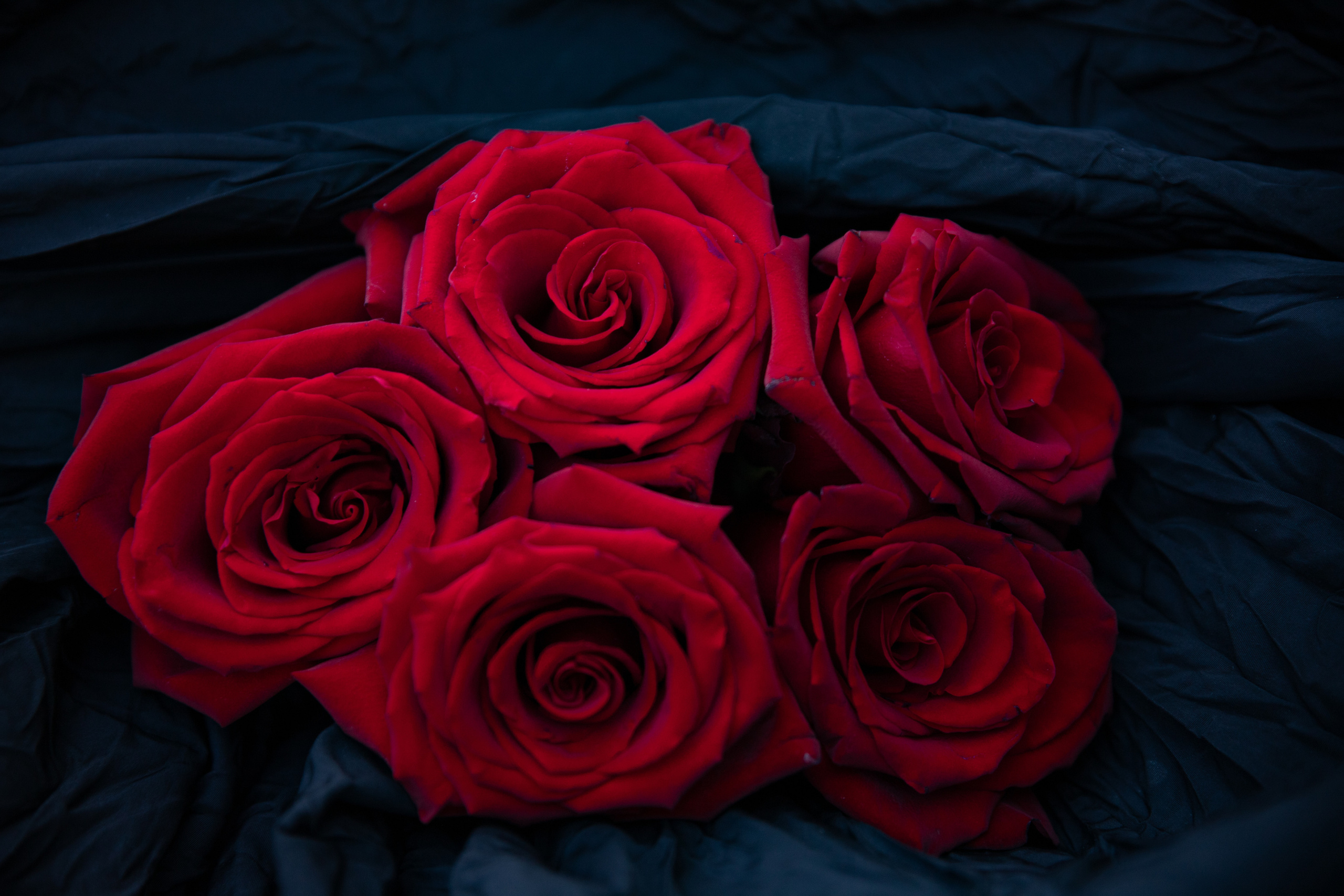 Фотографии растений Виктор Степанов. Фотограф Виктор Степанов