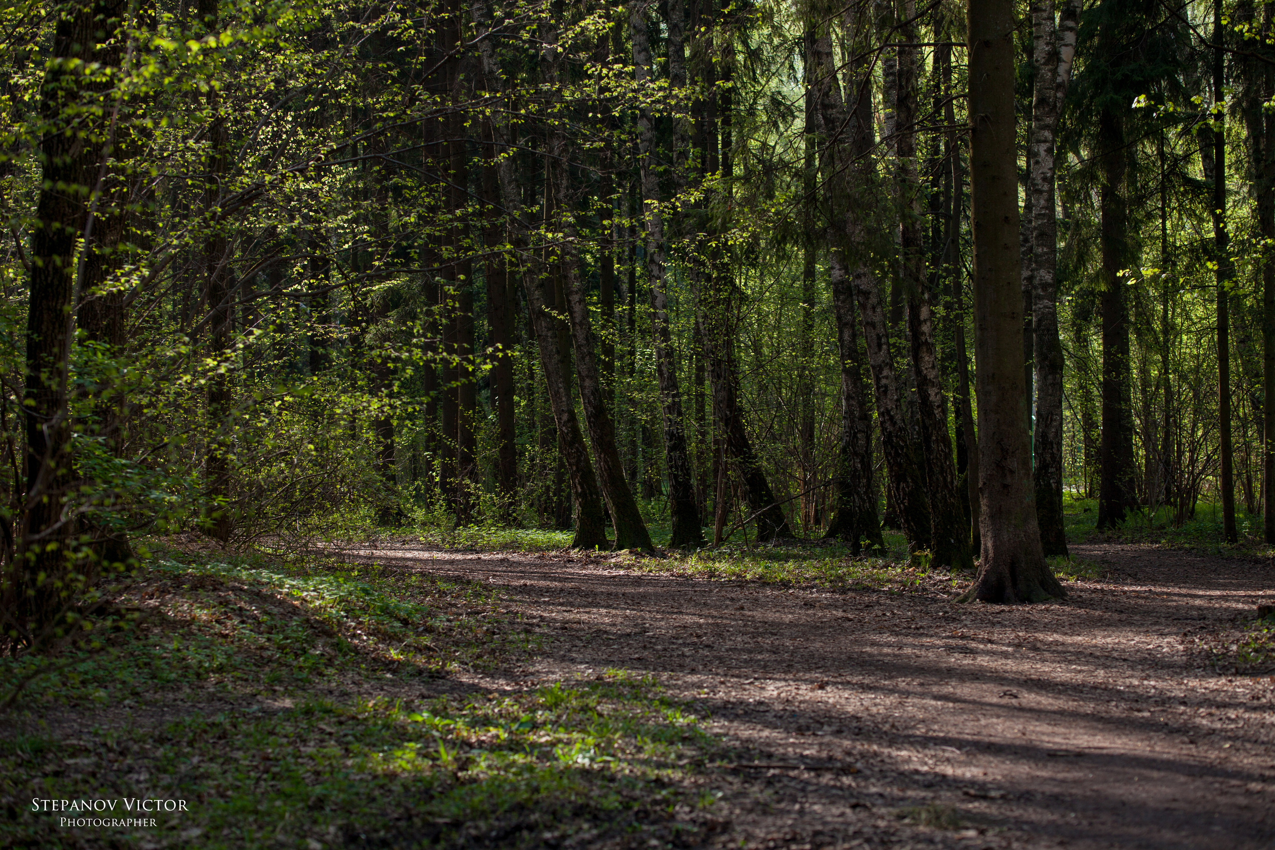Пейзажи фотографа Виктор Степанов. Фотограф Виктор Степанов