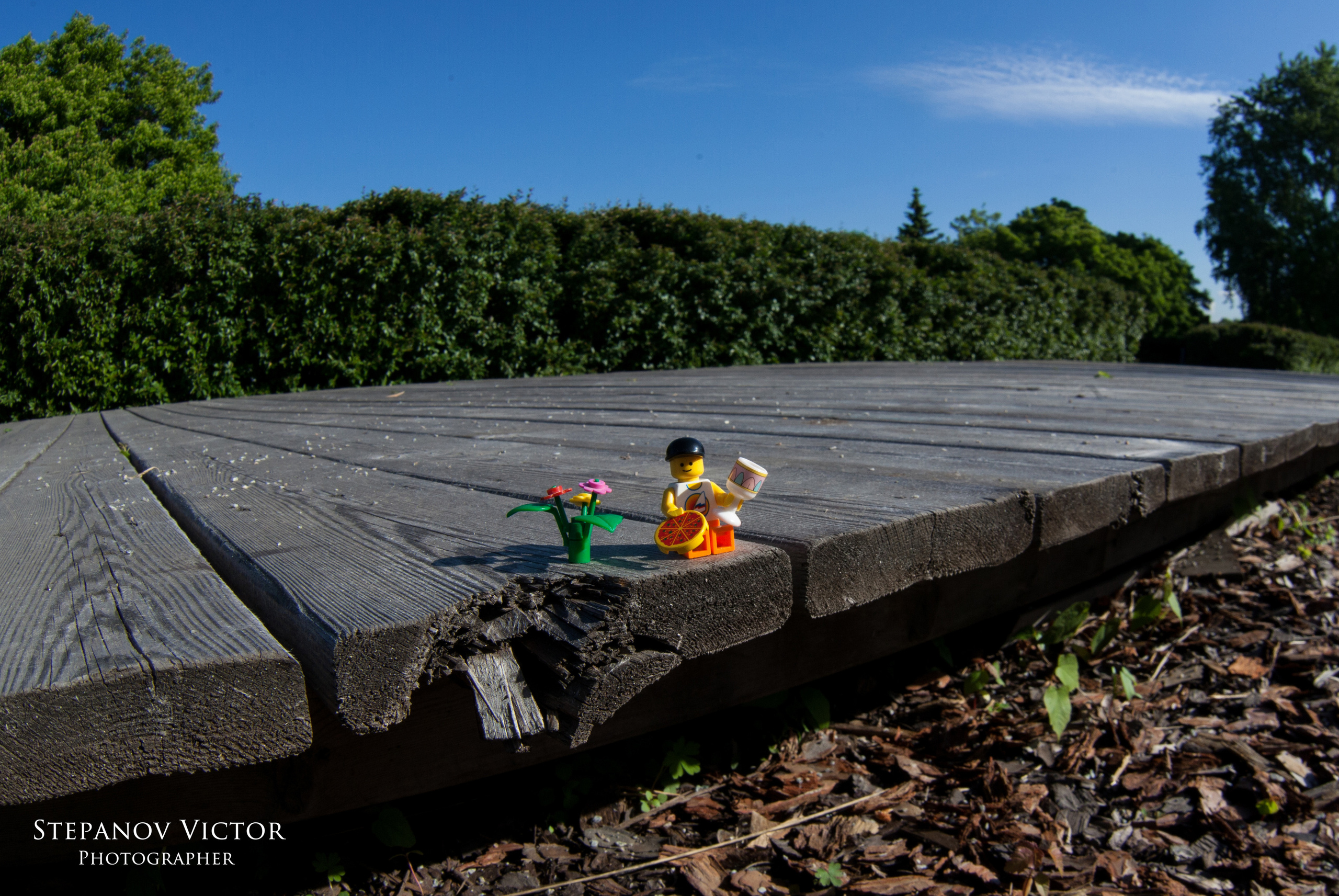 Фотографии приключений Джека от Виктор Степанов. Фотограф Виктор Степанов