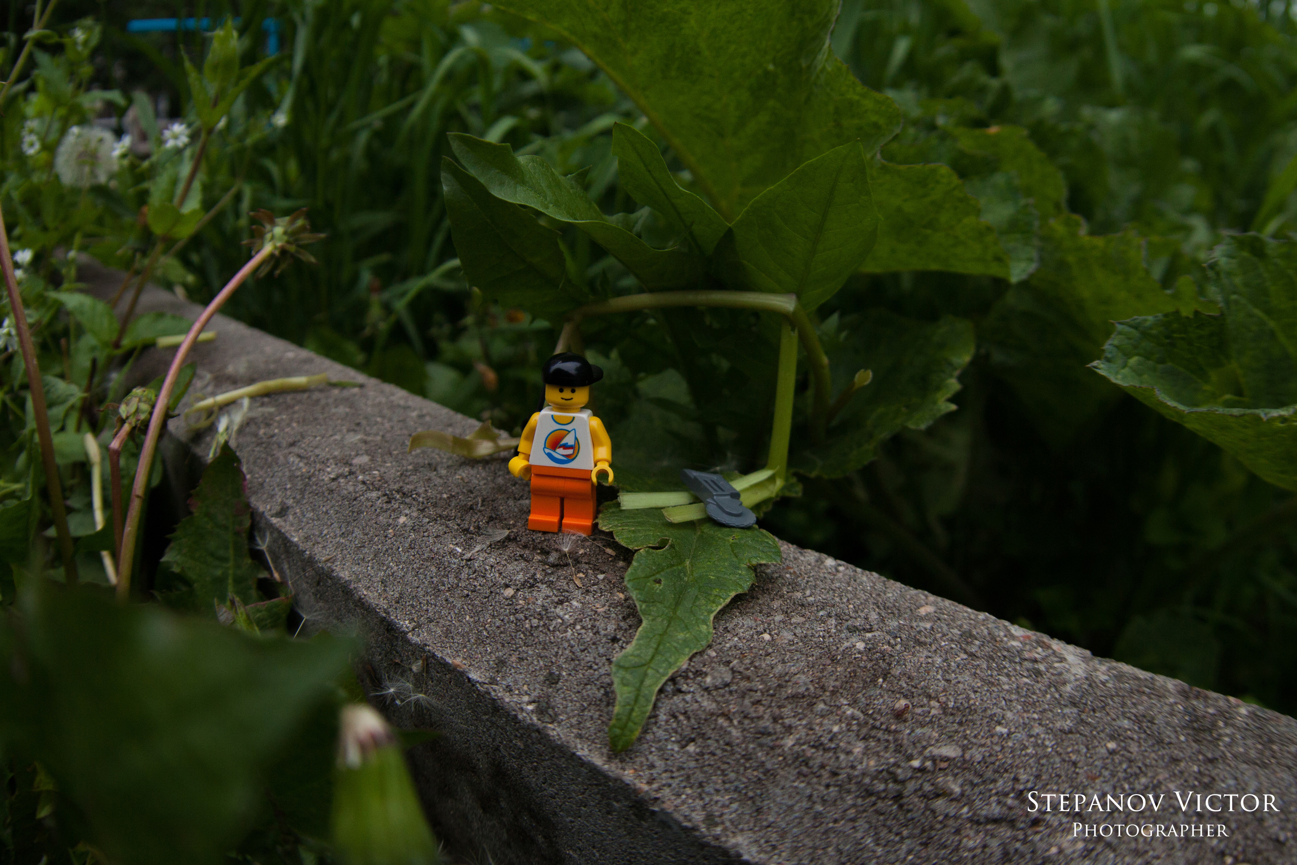 Фотографии приключений Джека от Виктор Степанов. Фотограф Виктор Степанов