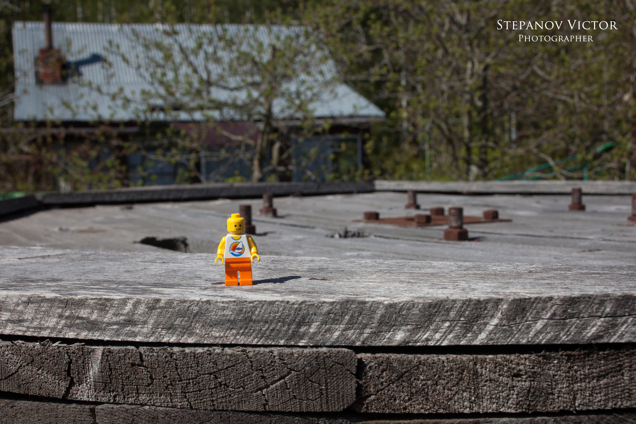 Фотографии приключений Джека от Виктор Степанов. Фотограф Виктор Степанов