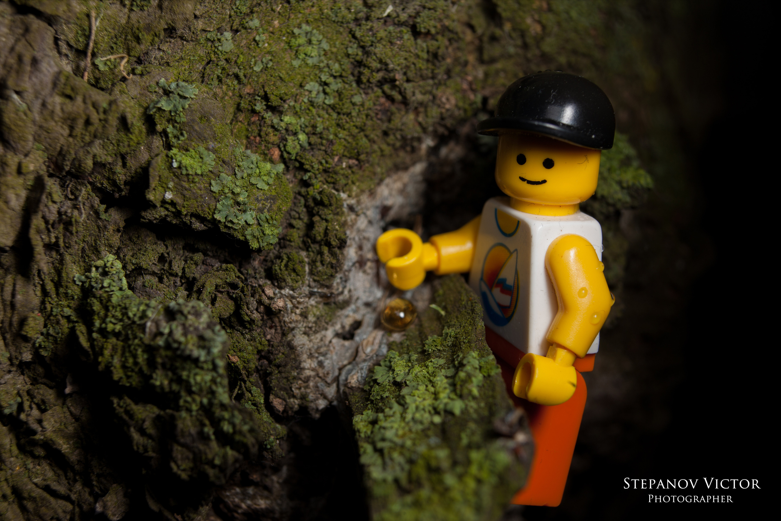 Фотографии приключений Джека от Виктор Степанов. Фотограф Виктор Степанов