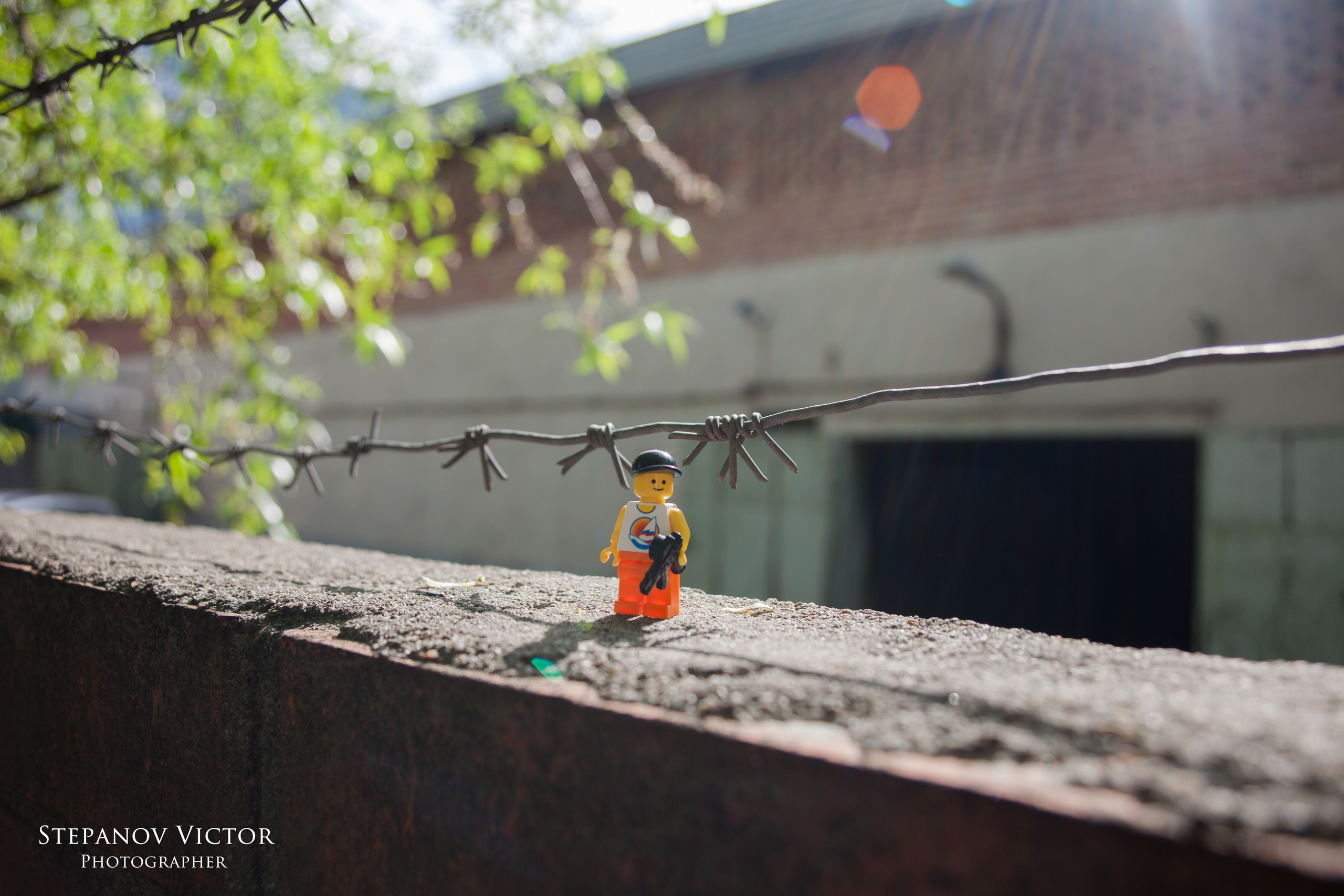 Фотографии приключений Джека от Виктор Степанов. Фотограф Виктор Степанов