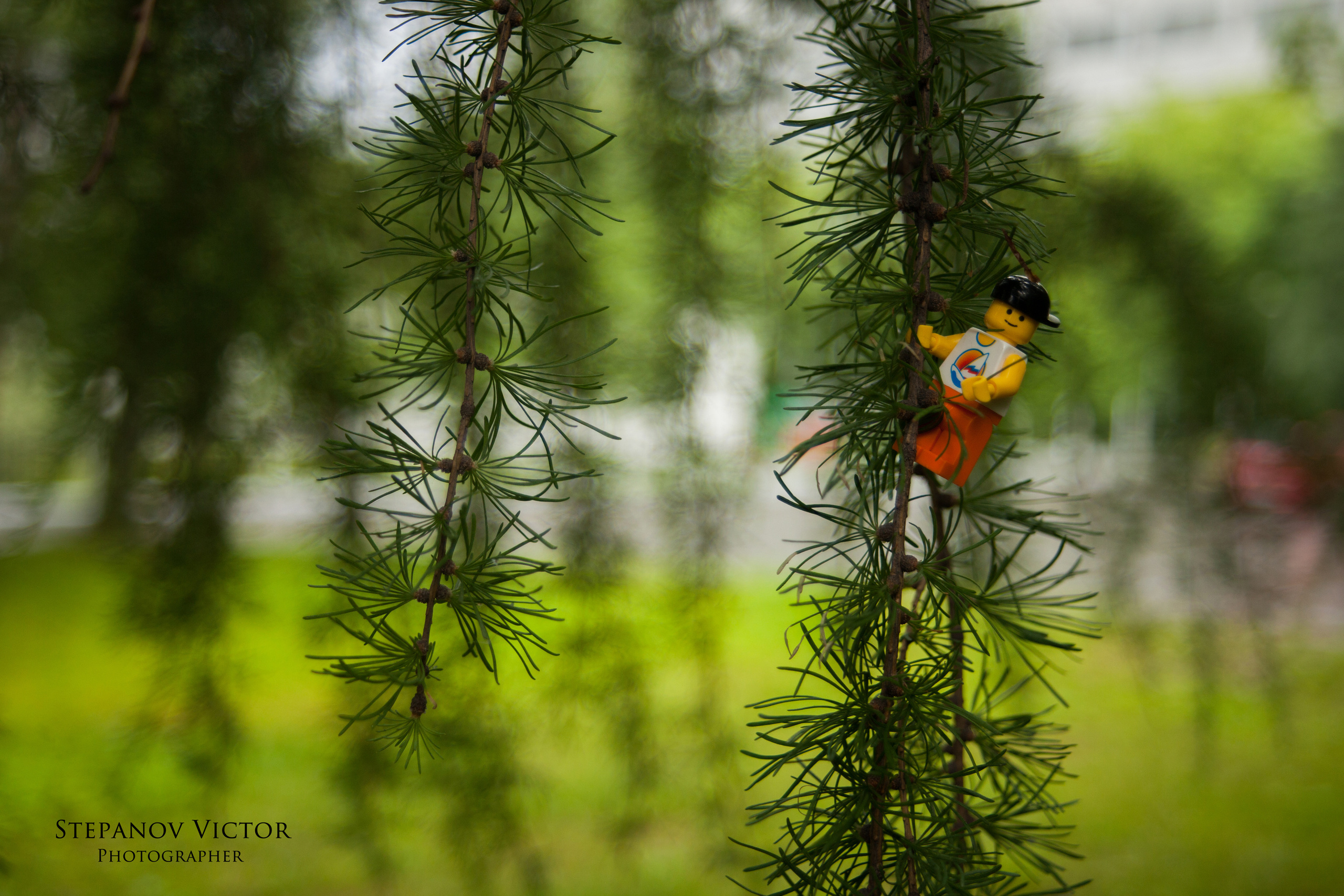 Фотографии приключений Джека от Виктор Степанов. Фотограф Виктор Степанов