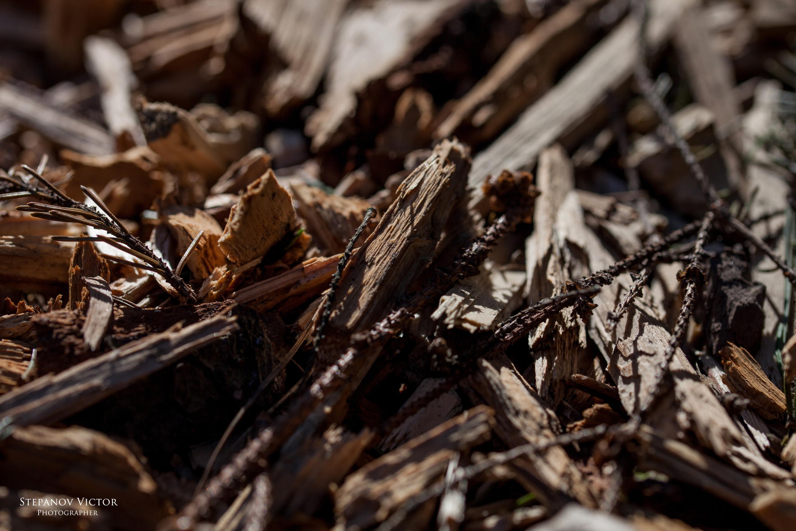 Предметные фотографии Виктор Степанов. Фотограф Виктор Степанов