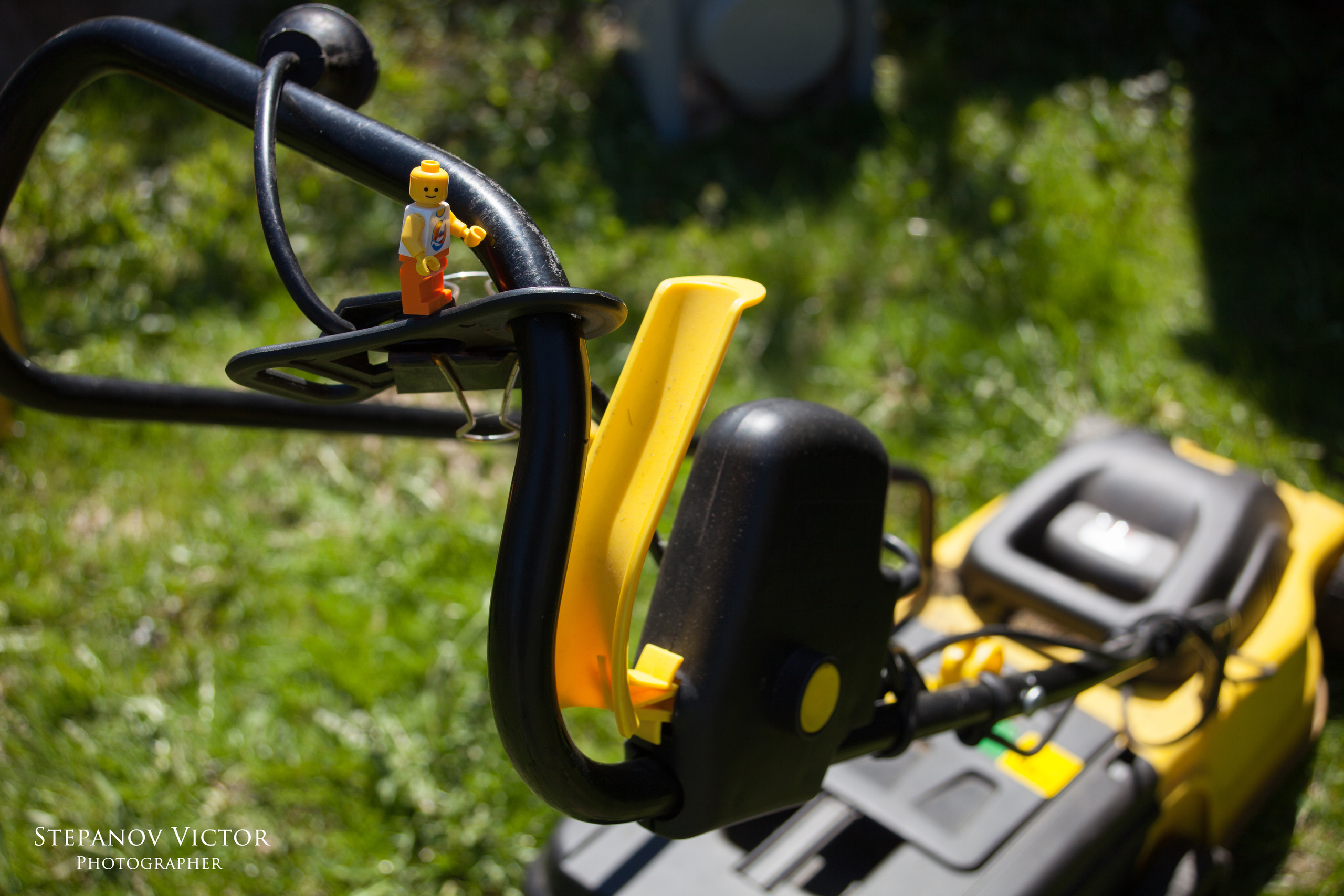 Фотографии приключений Джека от Виктор Степанов. Фотограф Виктор Степанов