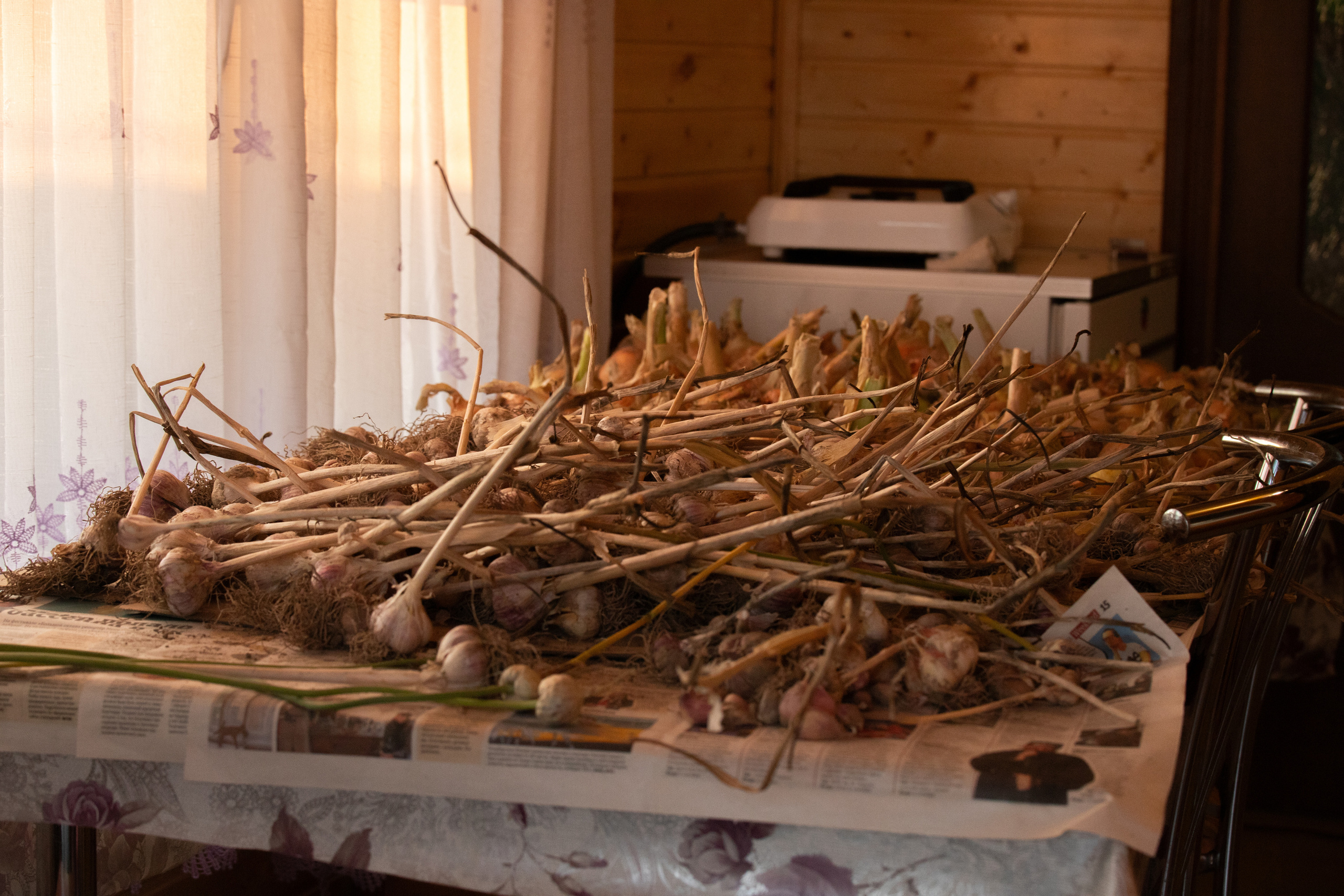 Предметные фотографии Виктор Степанов. Фотограф Виктор Степанов