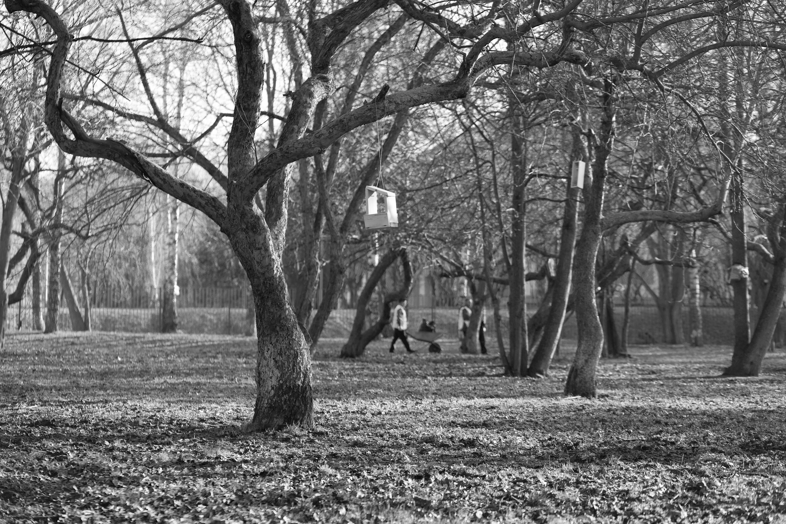 Городской пейзаж фотографа Виктор Степанов. Фотограф Виктор Степанов