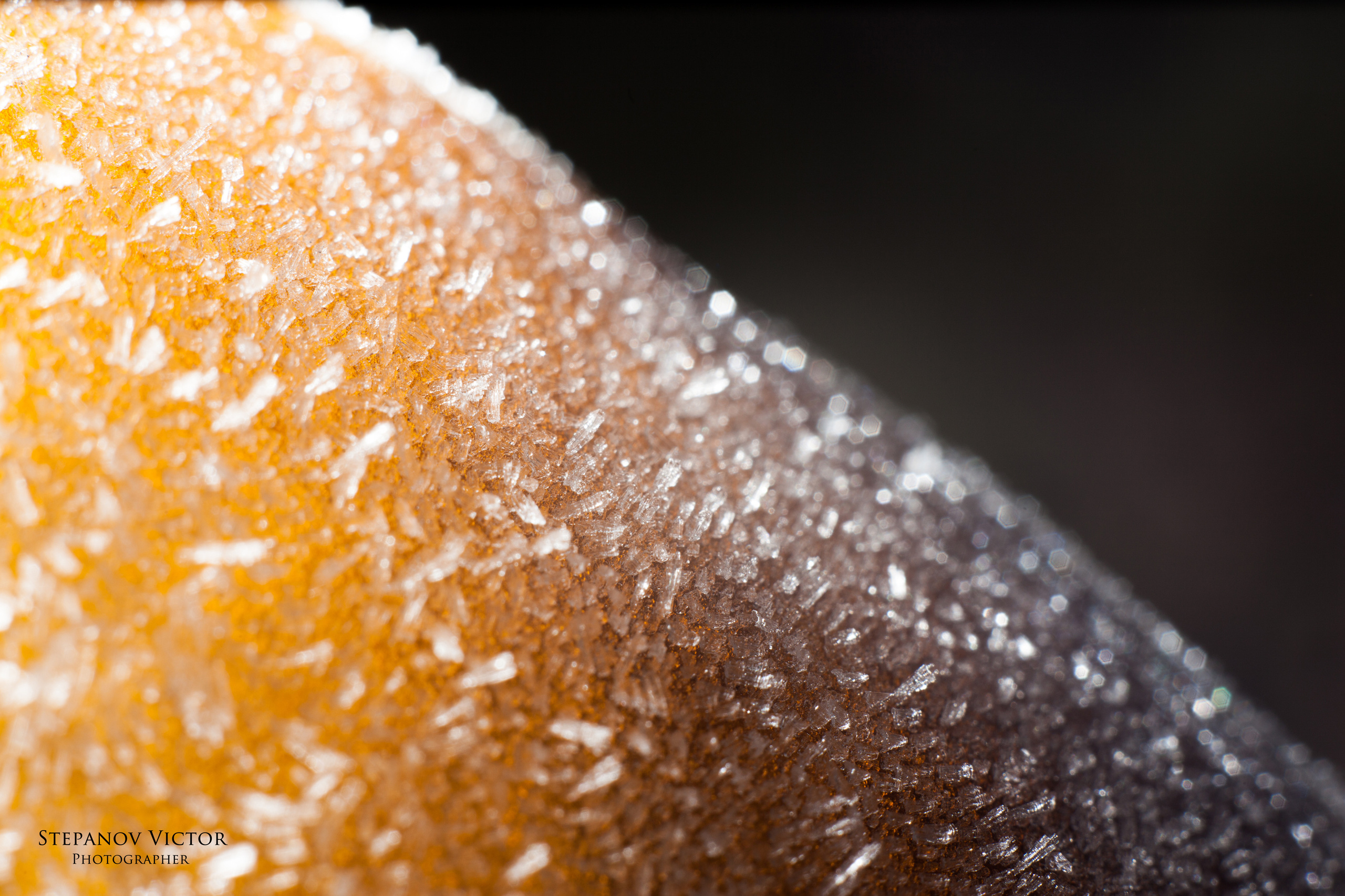 Макро. Фотограф Виктор Степанов