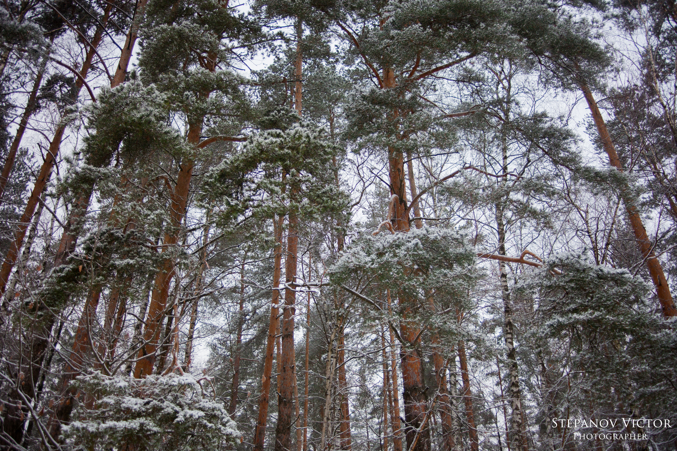 Пейзажи фотографа Виктор Степанов. Фотограф Виктор Степанов