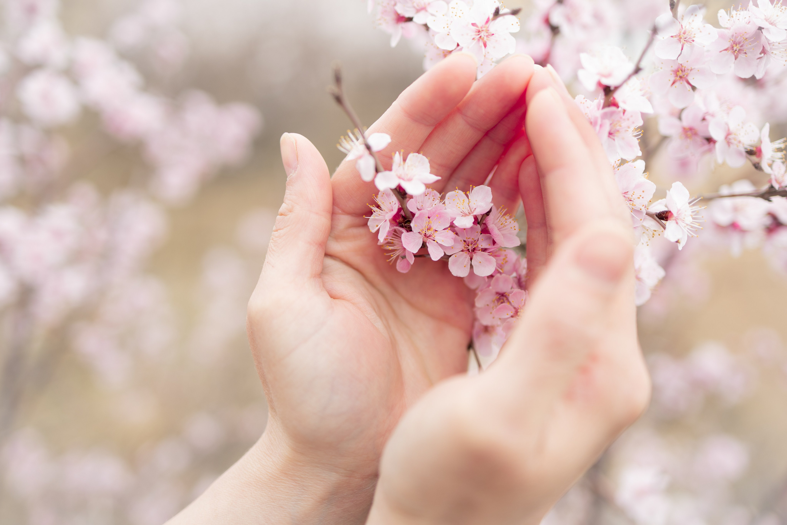 Природа. Фотограф Юлия Левандовская, п.Ясногорск