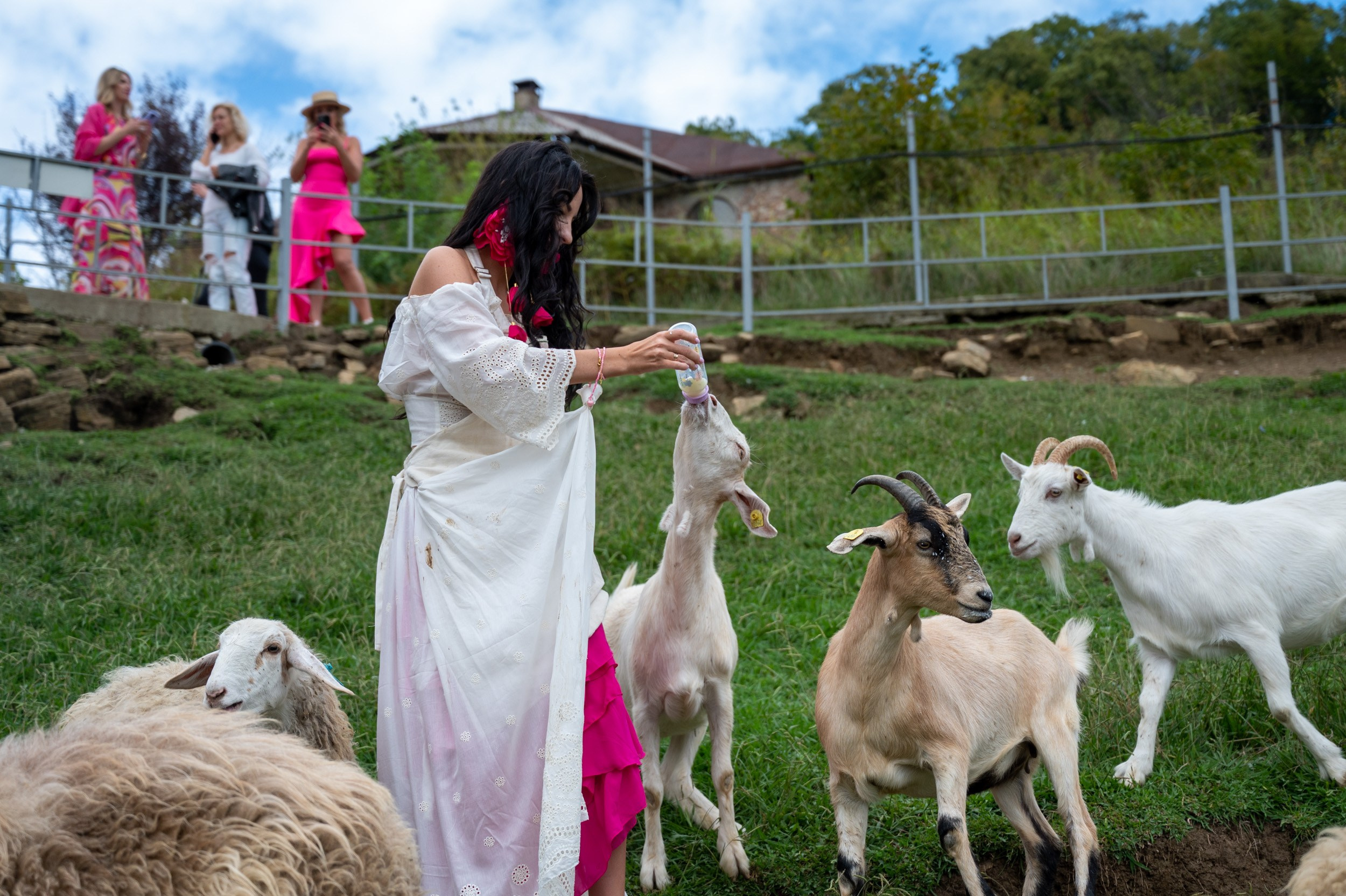 Ферма «ЭКЗАРХО» 03.10.2024 г. Фотографирую счастливых людей в Сочи