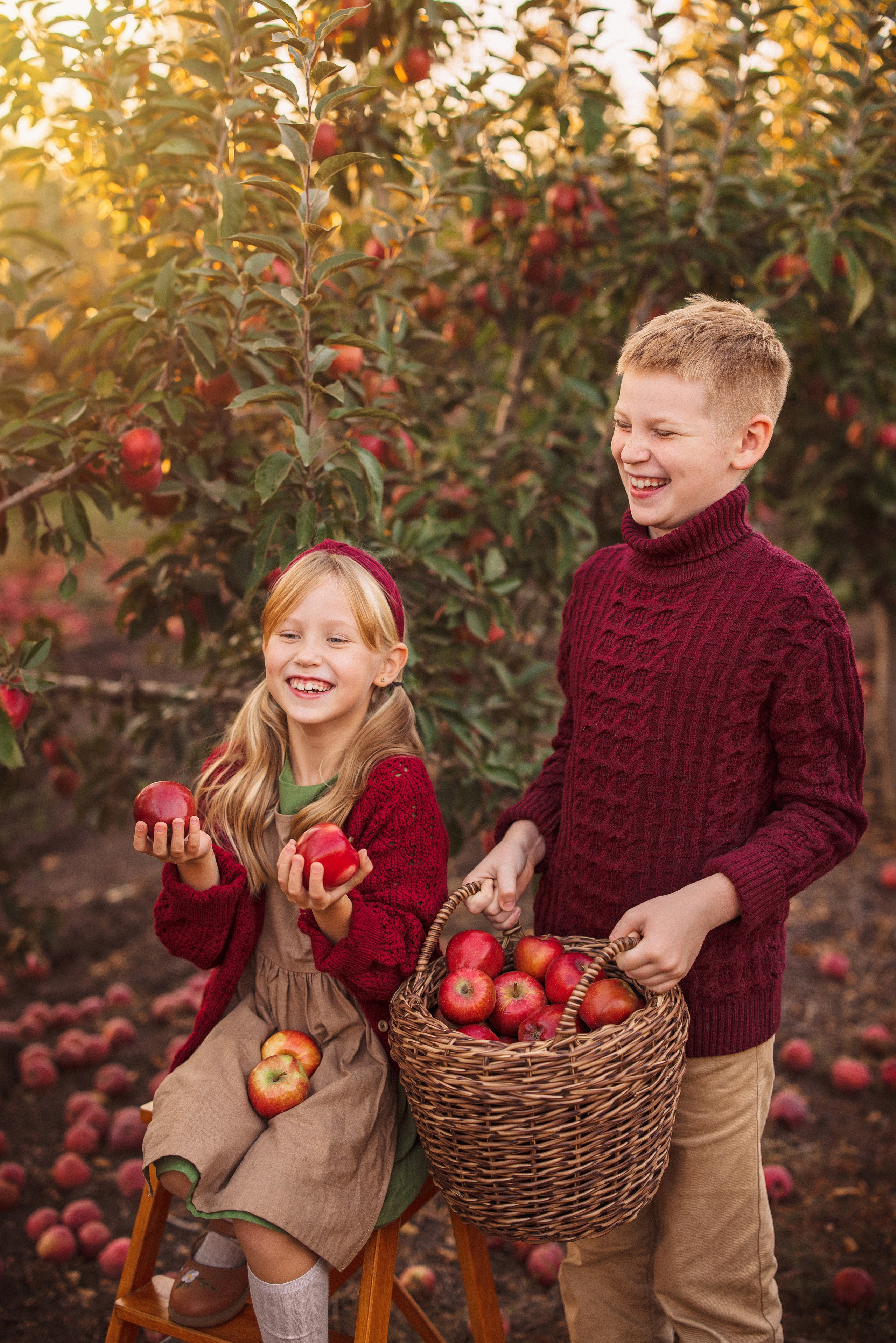 Сбор урожая Яблок. Семейный и детский фотограф в Краснодаре Анна Трашкова