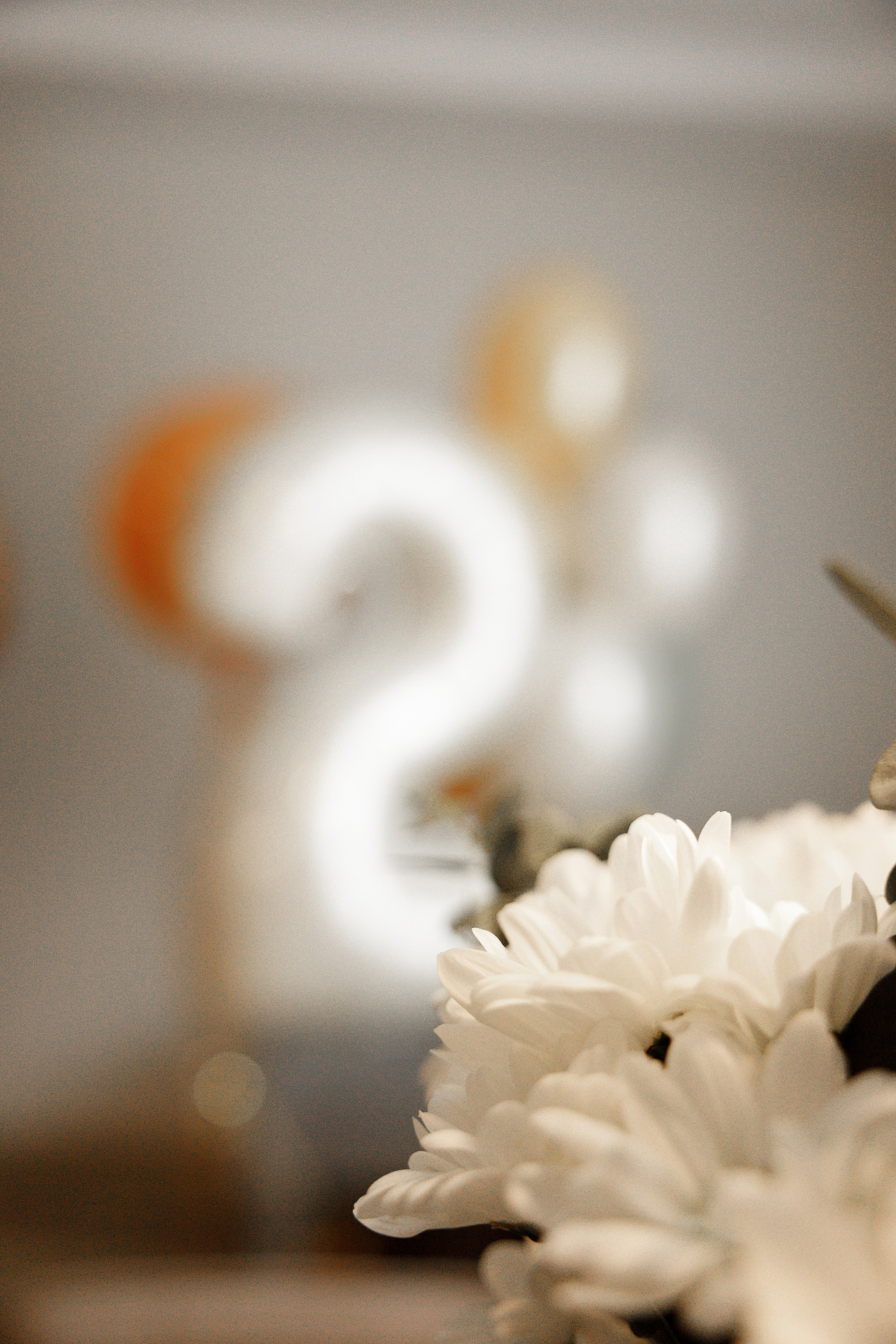 Лев 2 годика. Свадебный и семейный фотограф  во Владивостоке Ольга Украинец