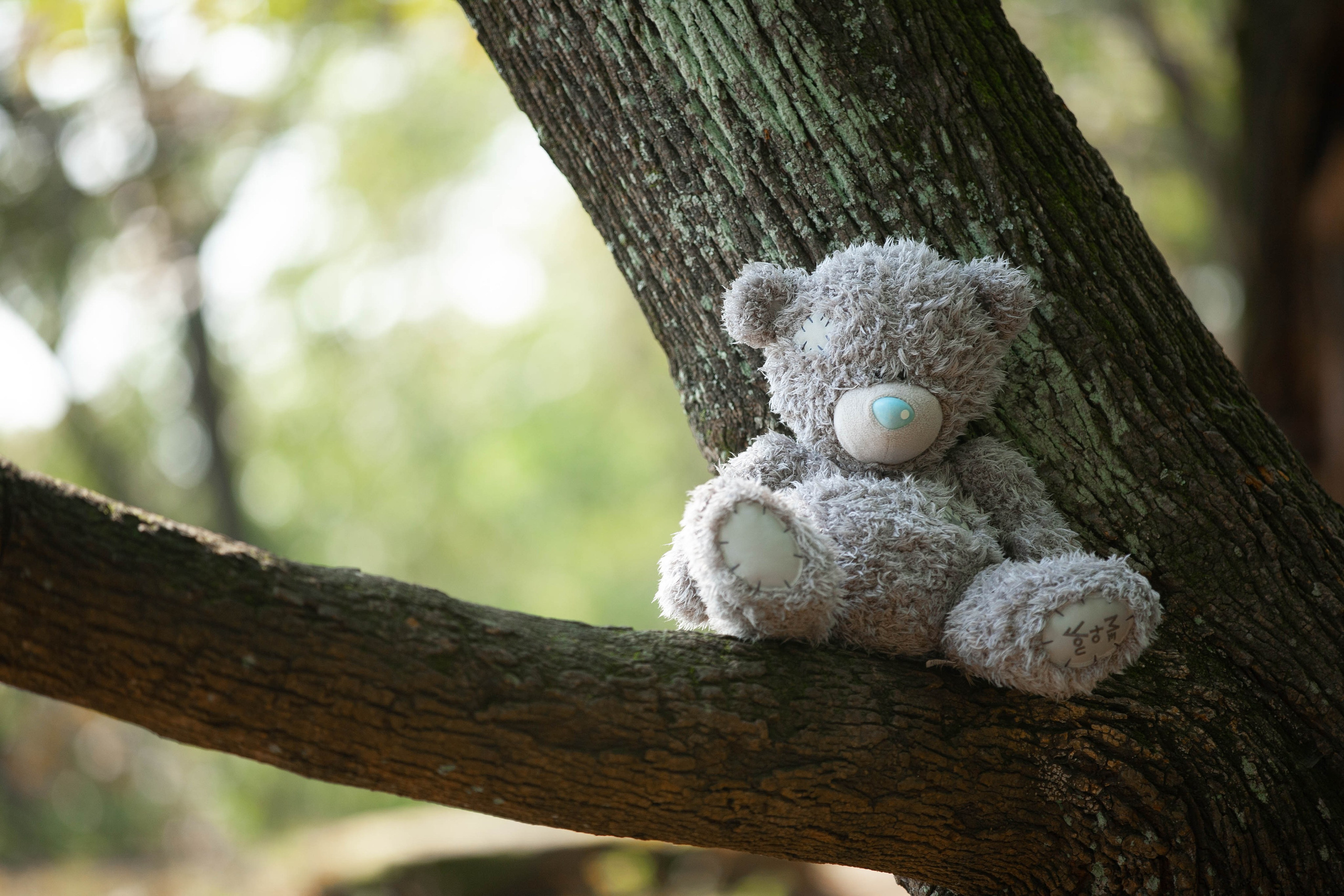 Семейные. Репортажный и портретный фотограф во Владивостоке Шегай Андрей